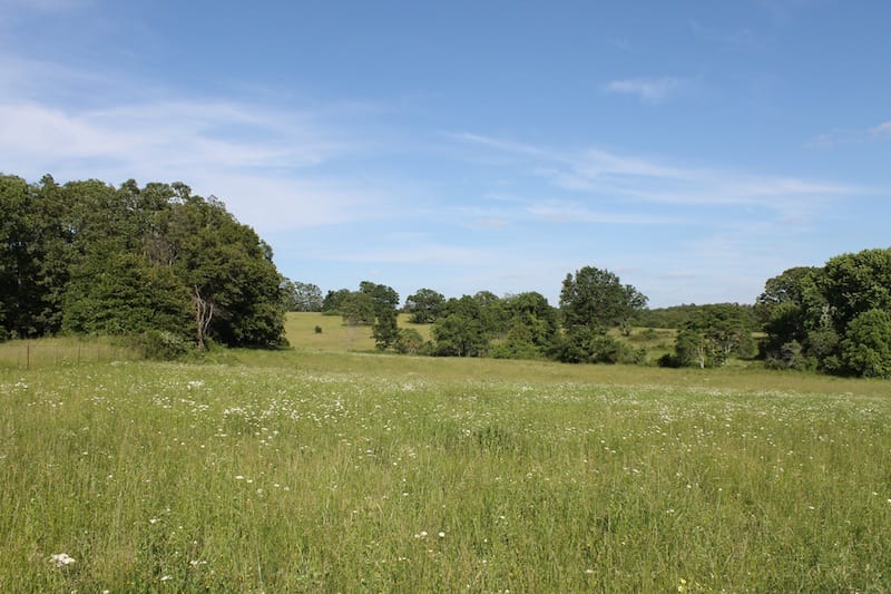 Valley View Ranch photo 3