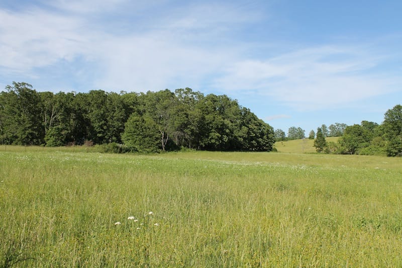 Valley View Ranch photo 5