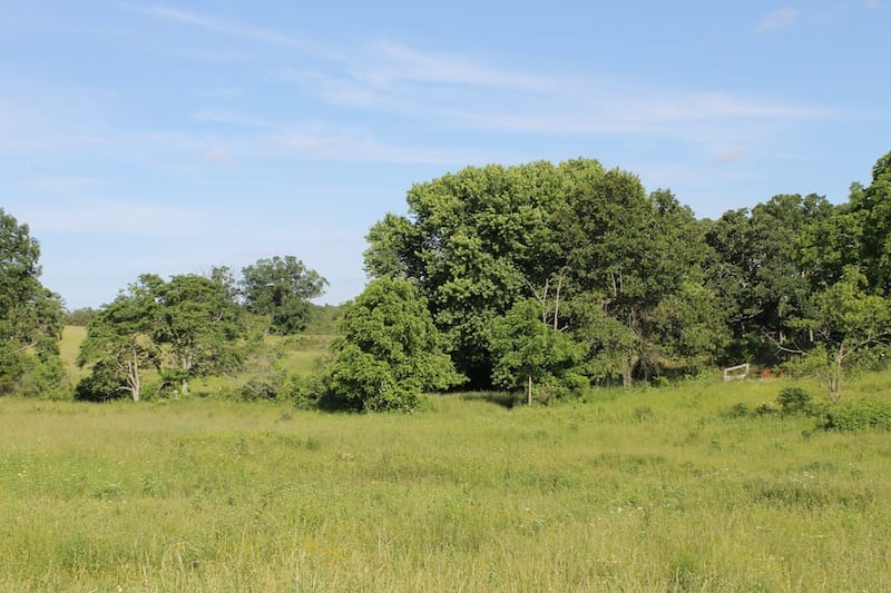 Valley View Ranch photo 7