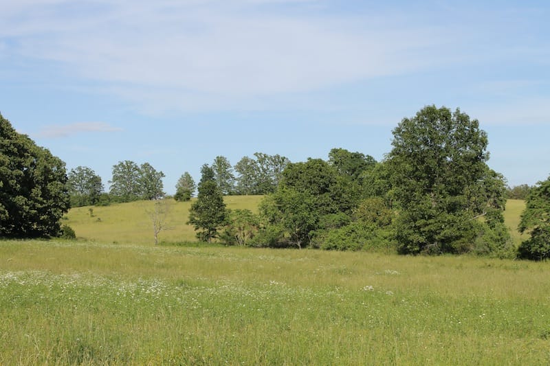 Valley View Ranch photo 8