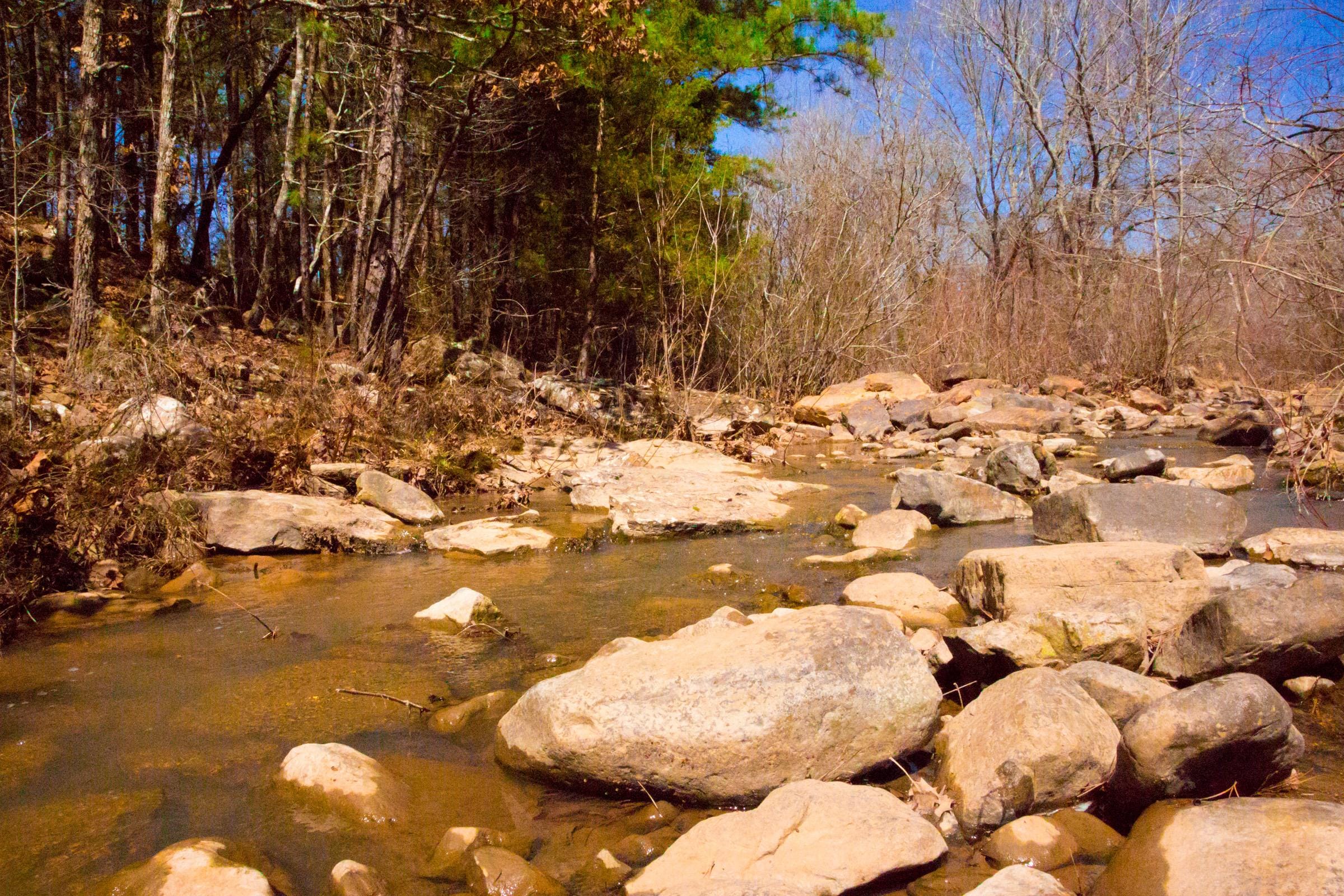 Stone Creek Phase II photo 2