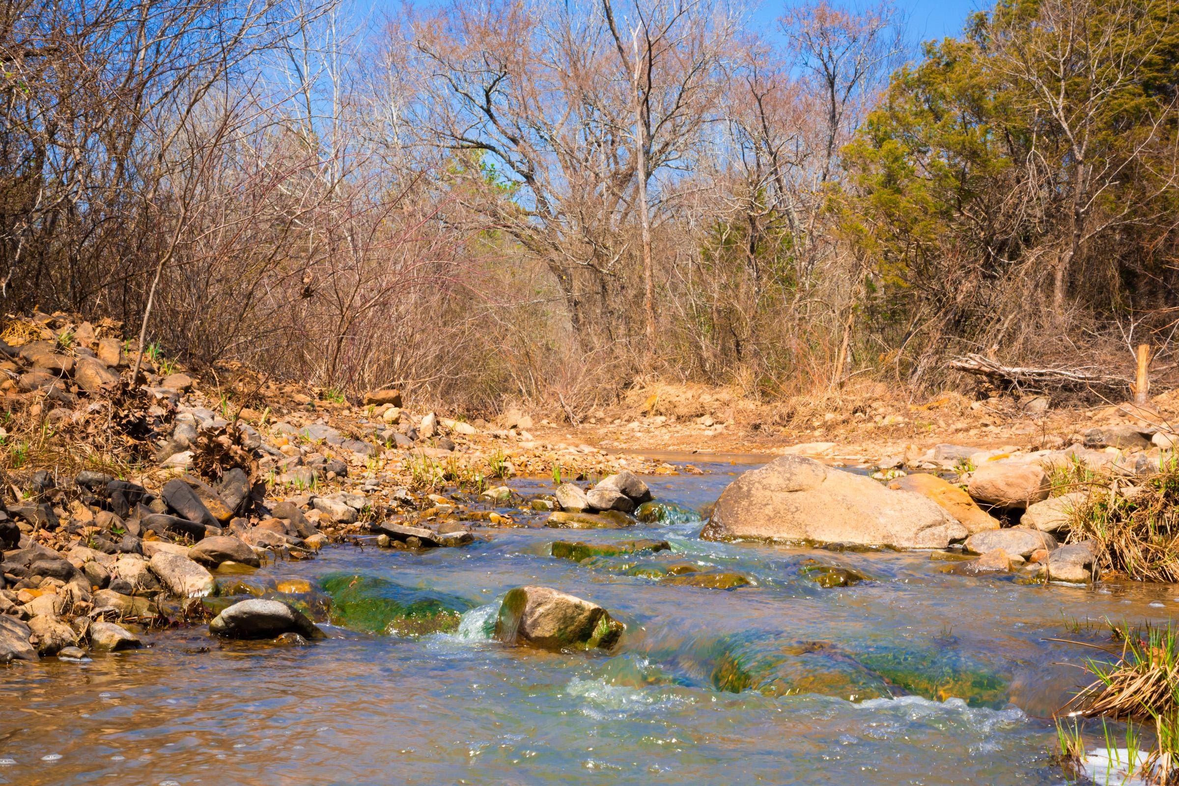 Stone Creek Phase II photo 12