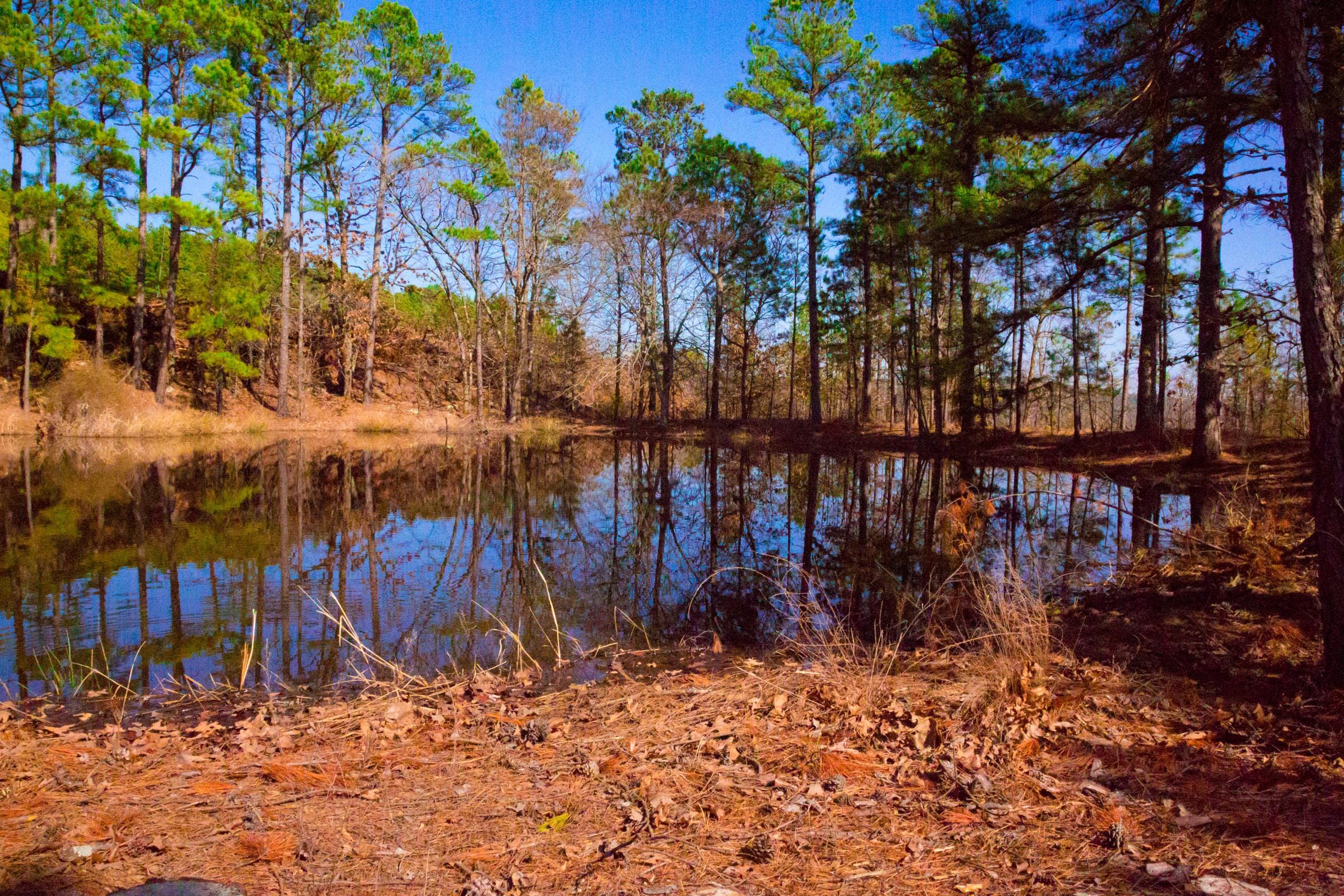 Stone Creek Phase II photo 17