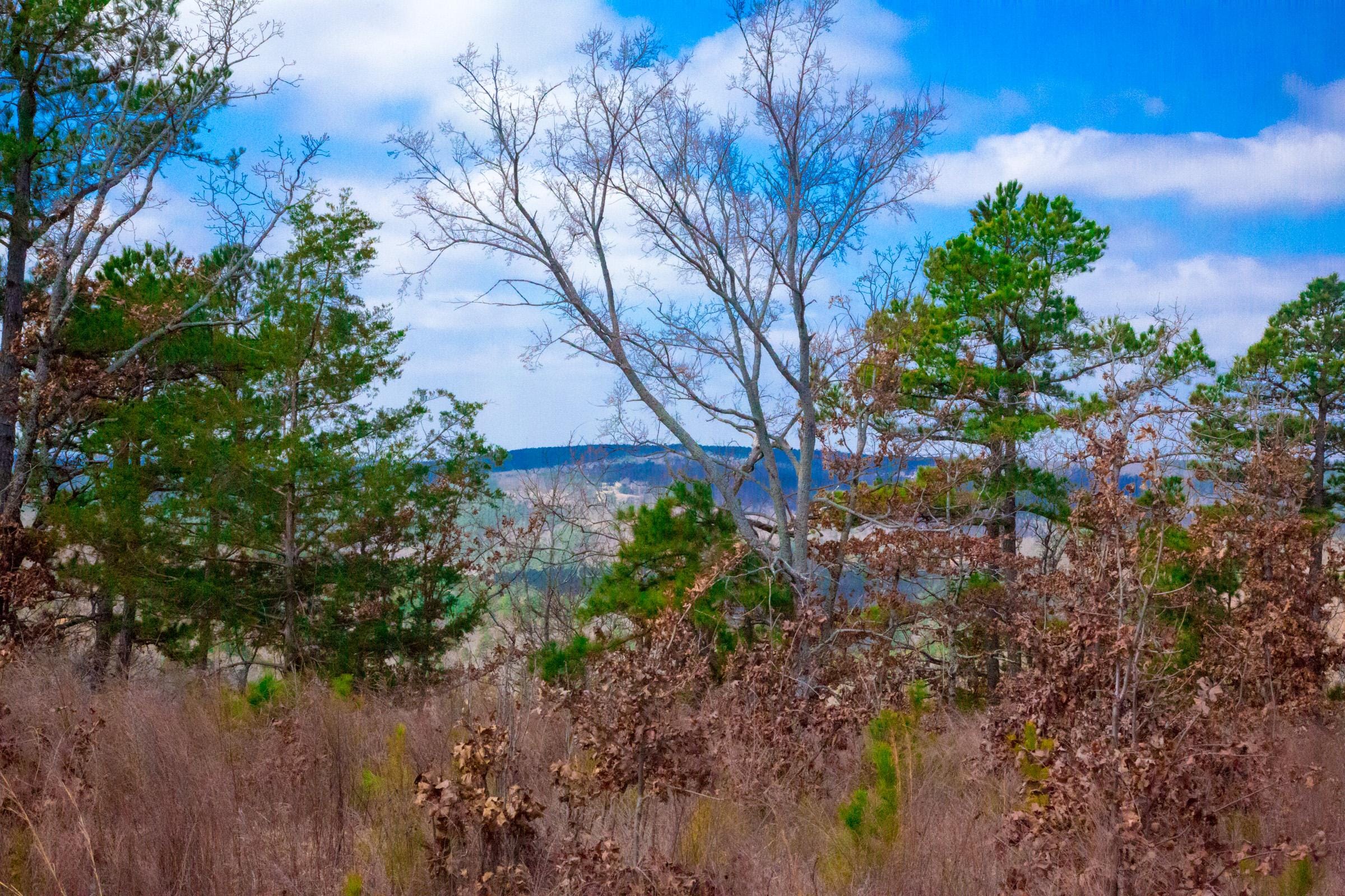 Stone Creek Phase II photo 5
