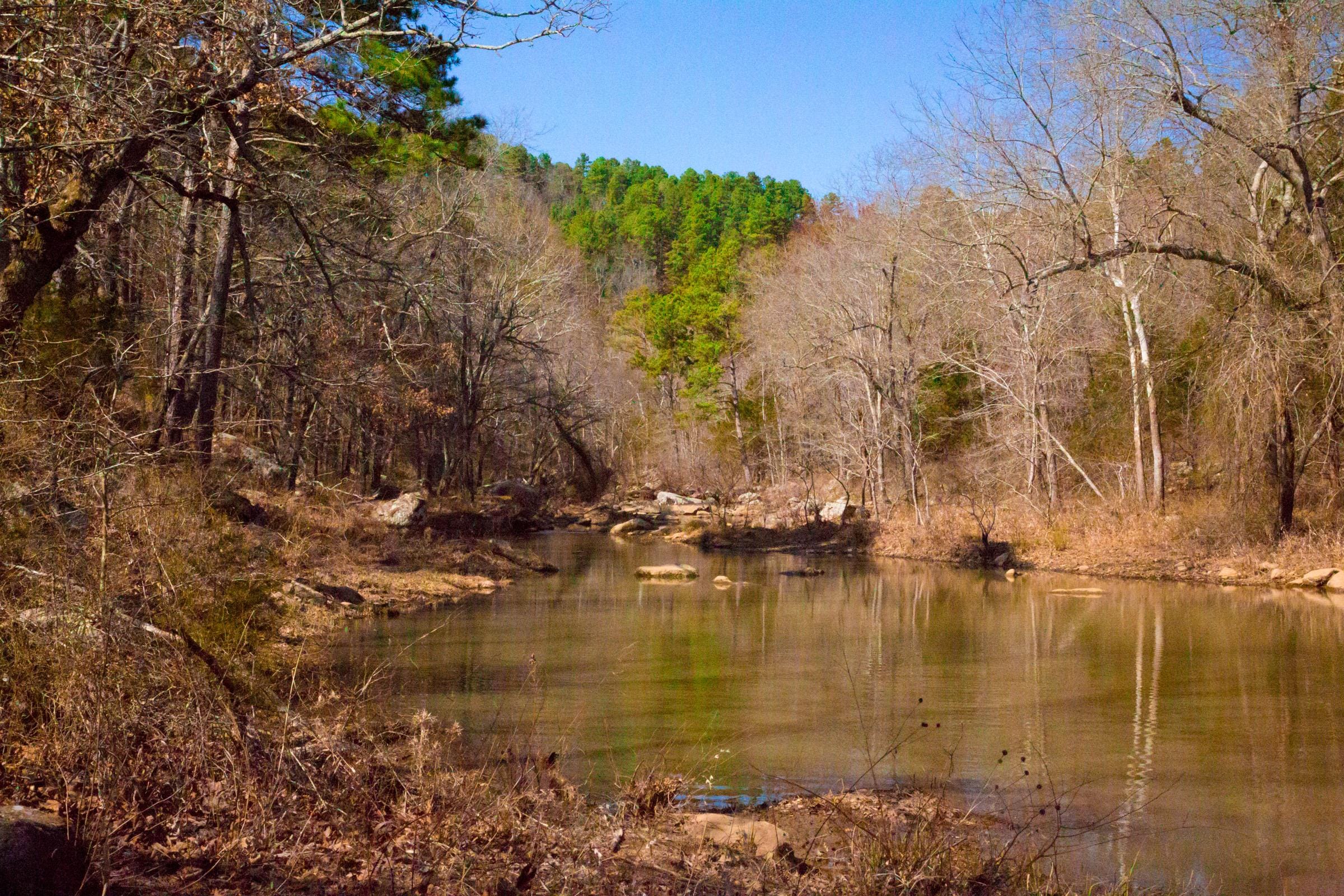 Stone Creek Phase II photo 13