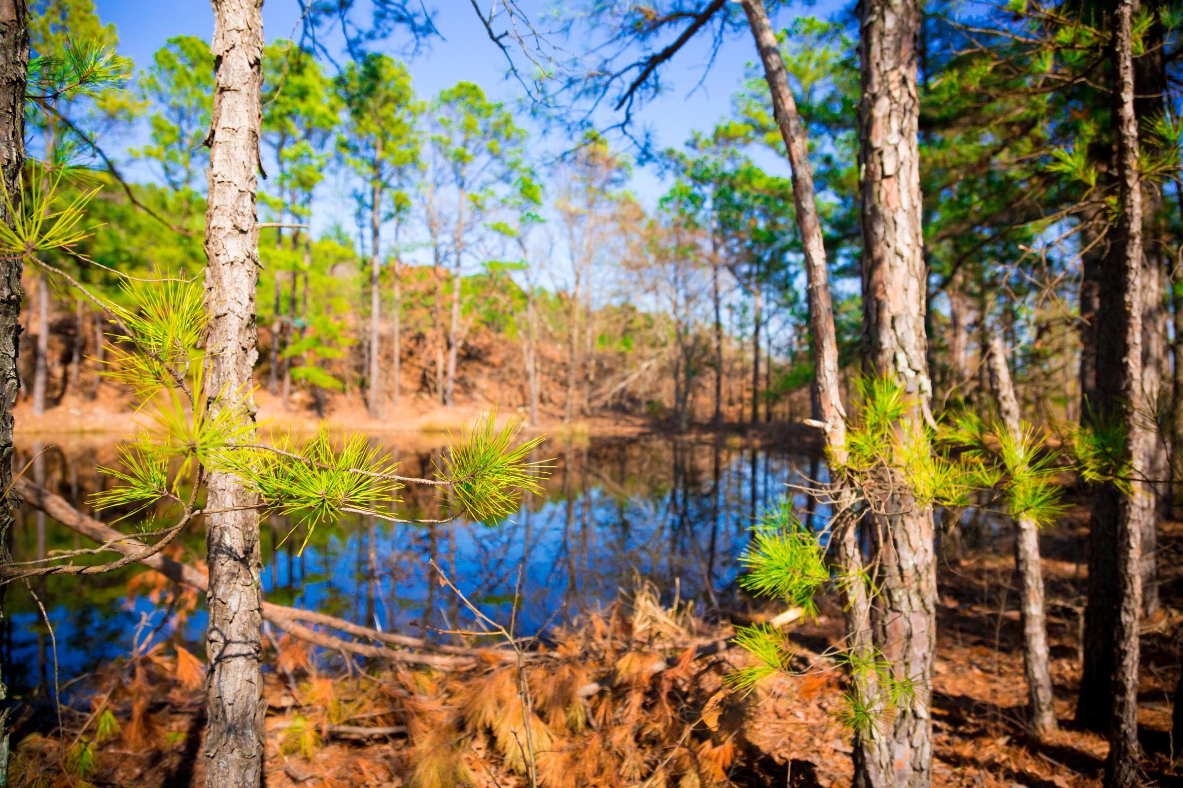 Stone Creek Phase II photo 16