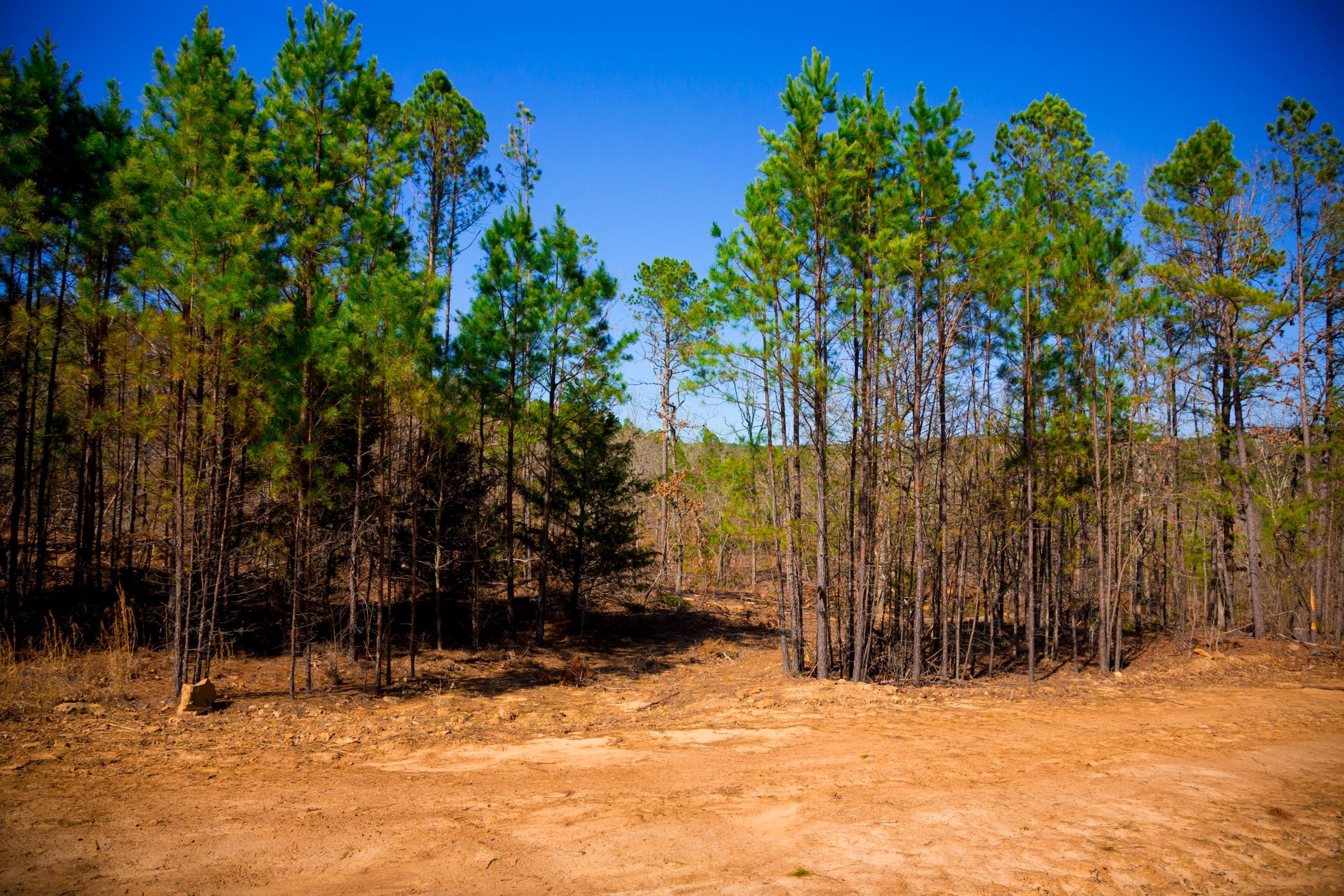 Stone Creek Phase II photo 15