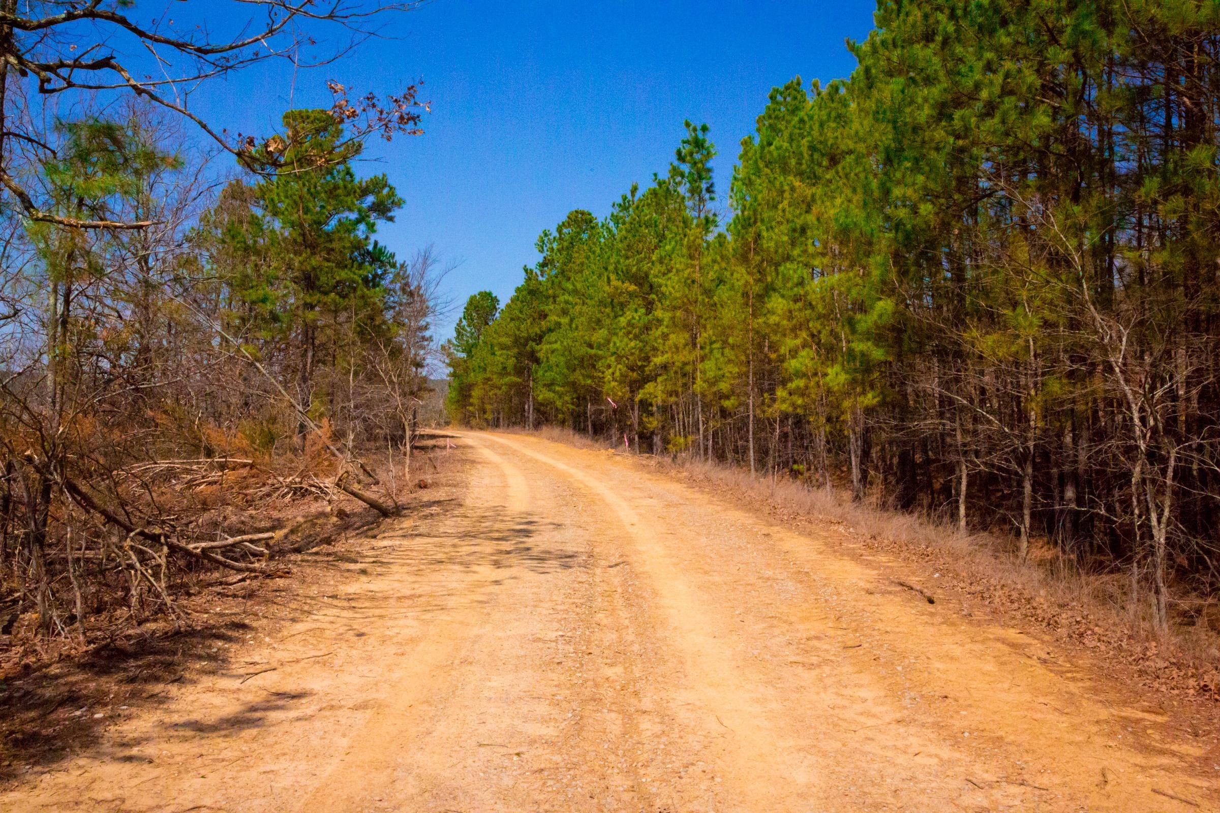 Stone Creek Phase II photo 21