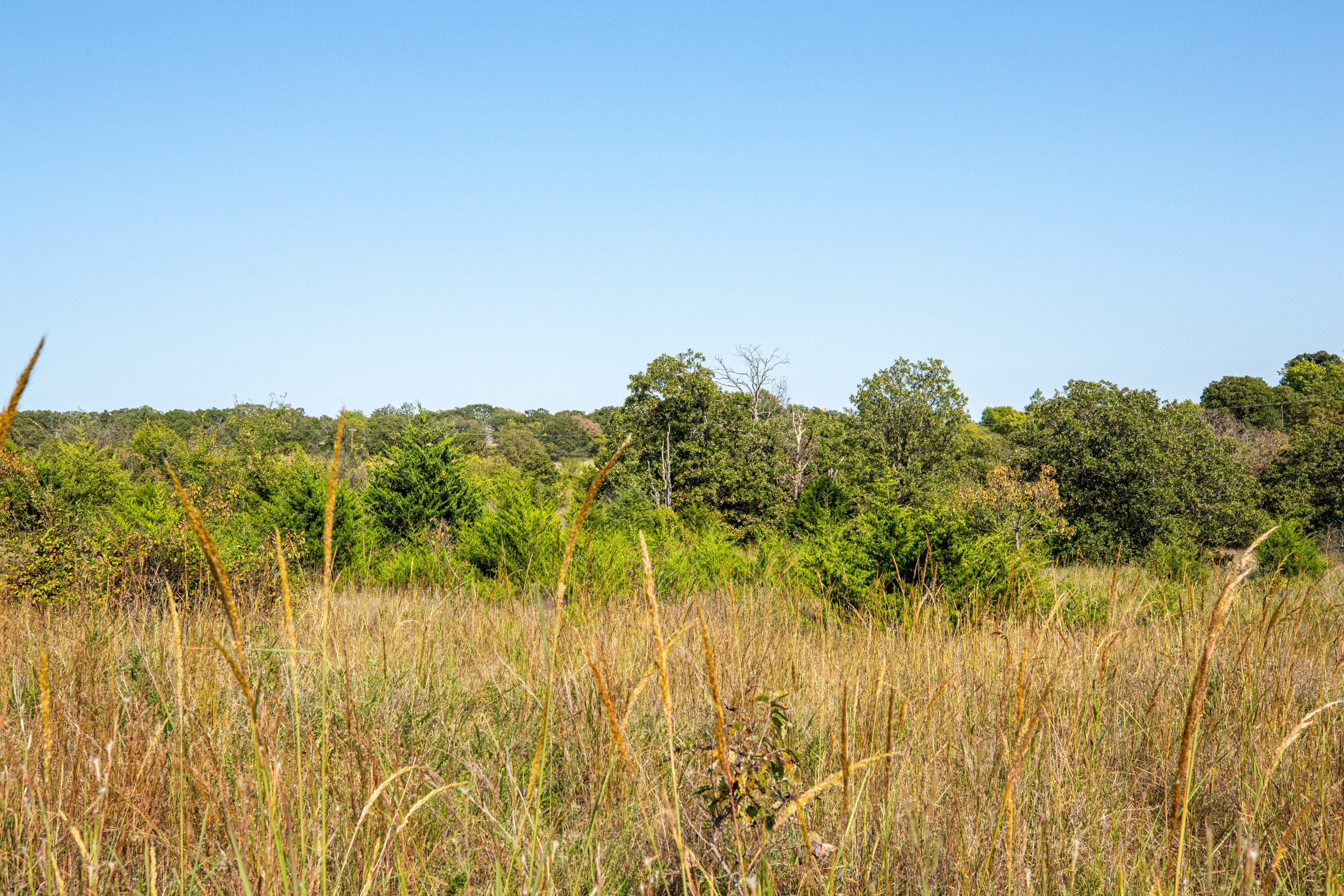 Canyon Creek photo 13