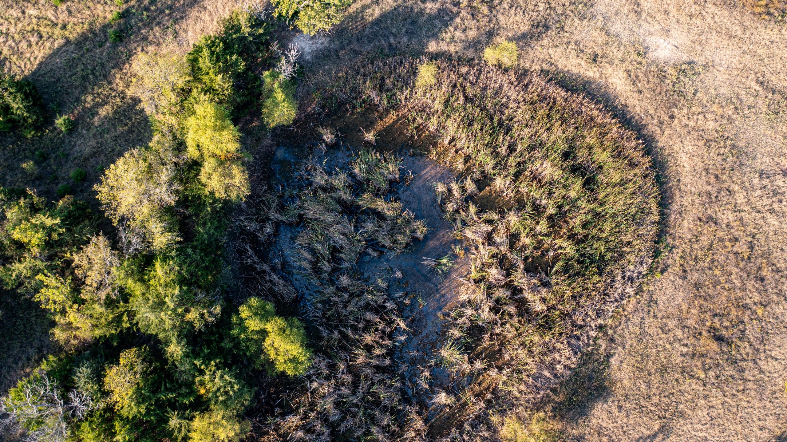 Canyon Creek photo 2