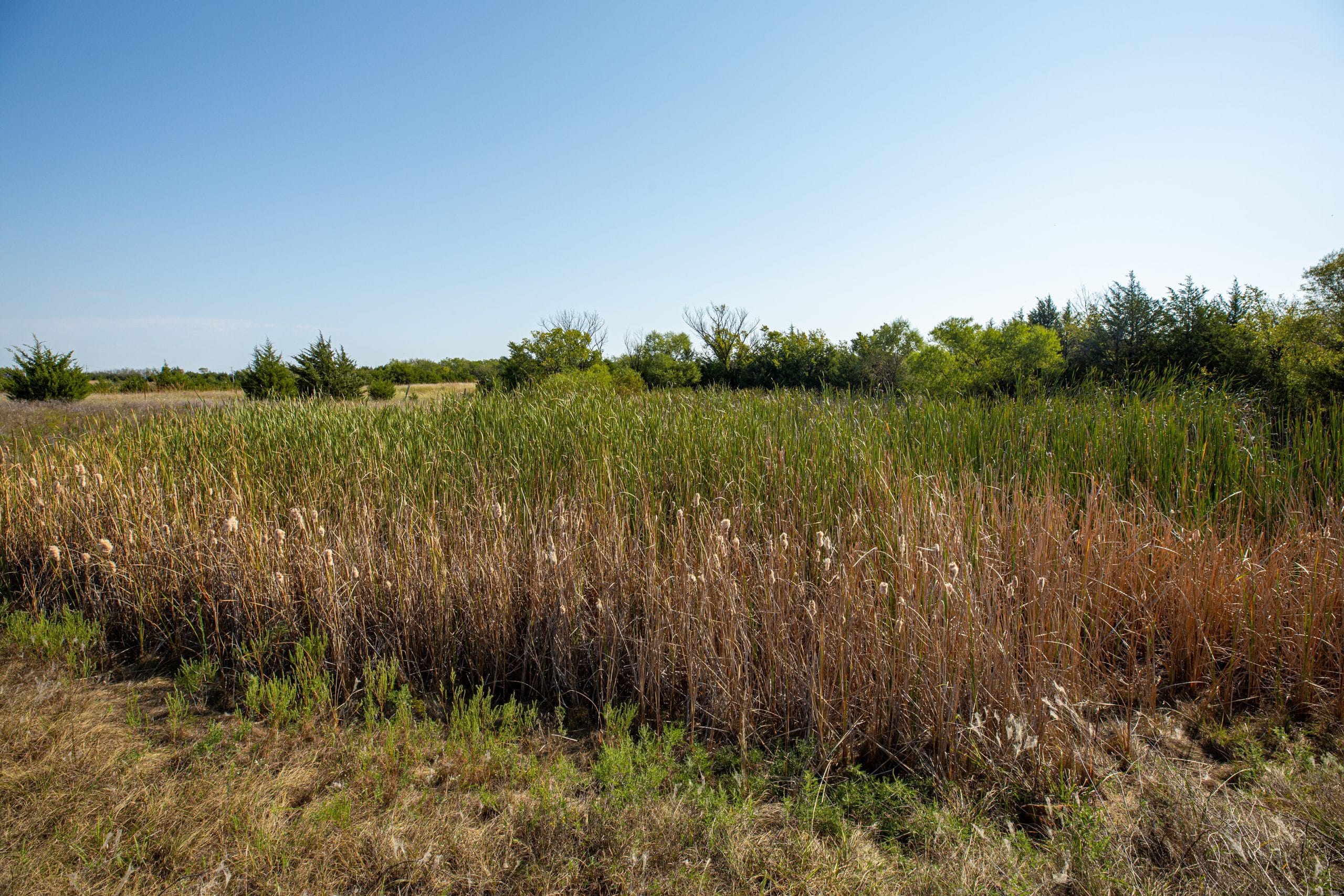 Canyon Creek photo 6