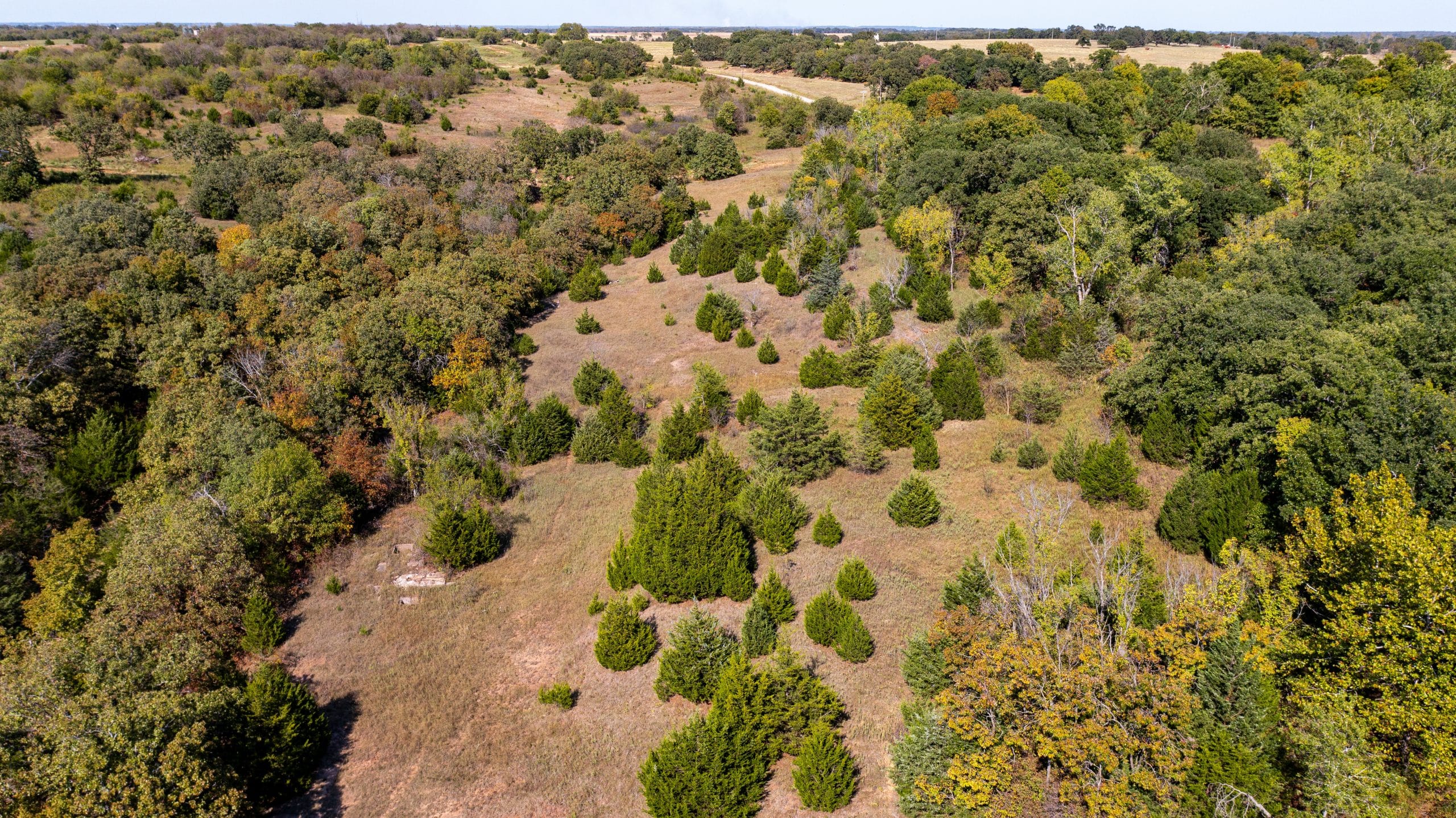 Canyon Creek photo 14