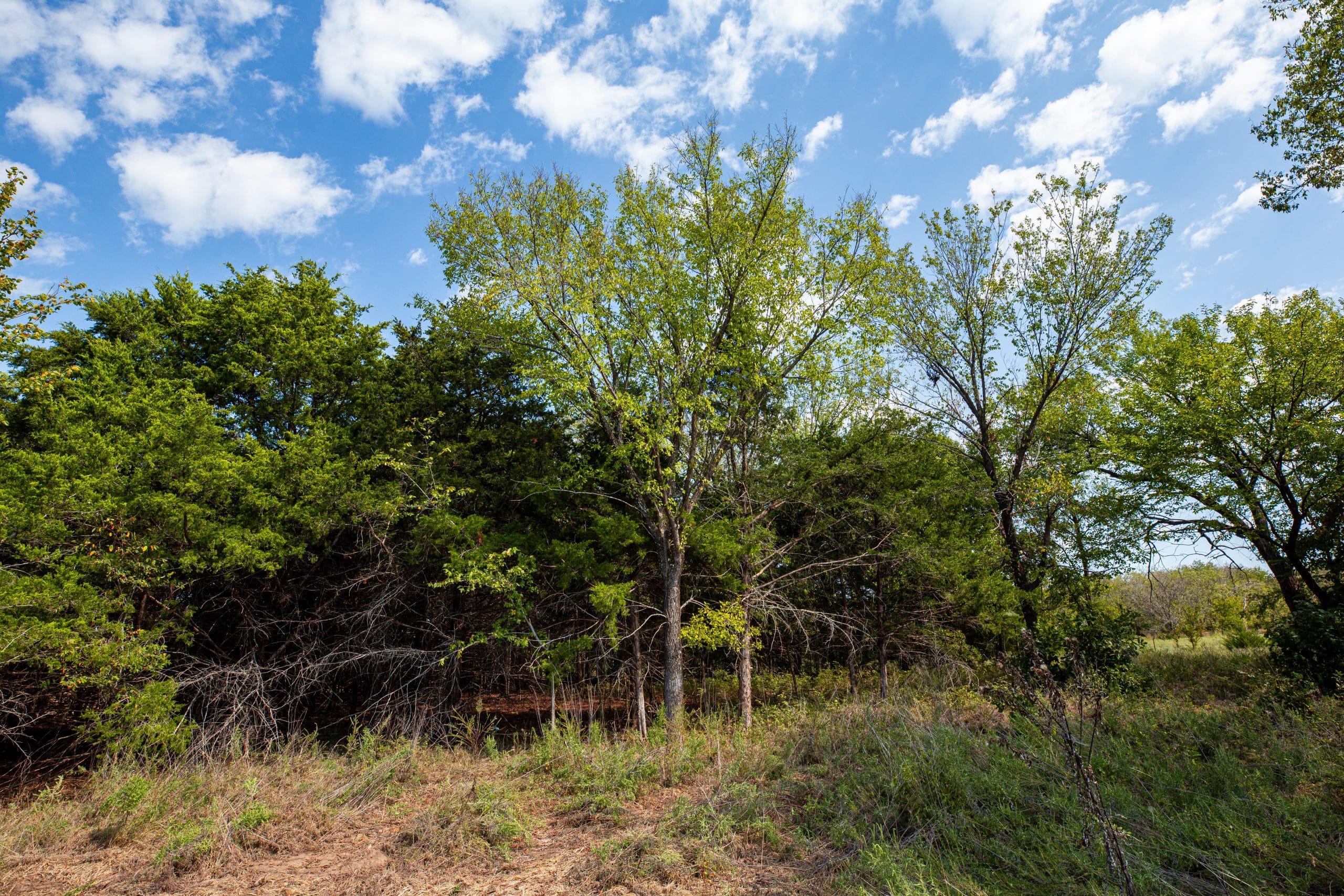 Canyon Creek photo 19