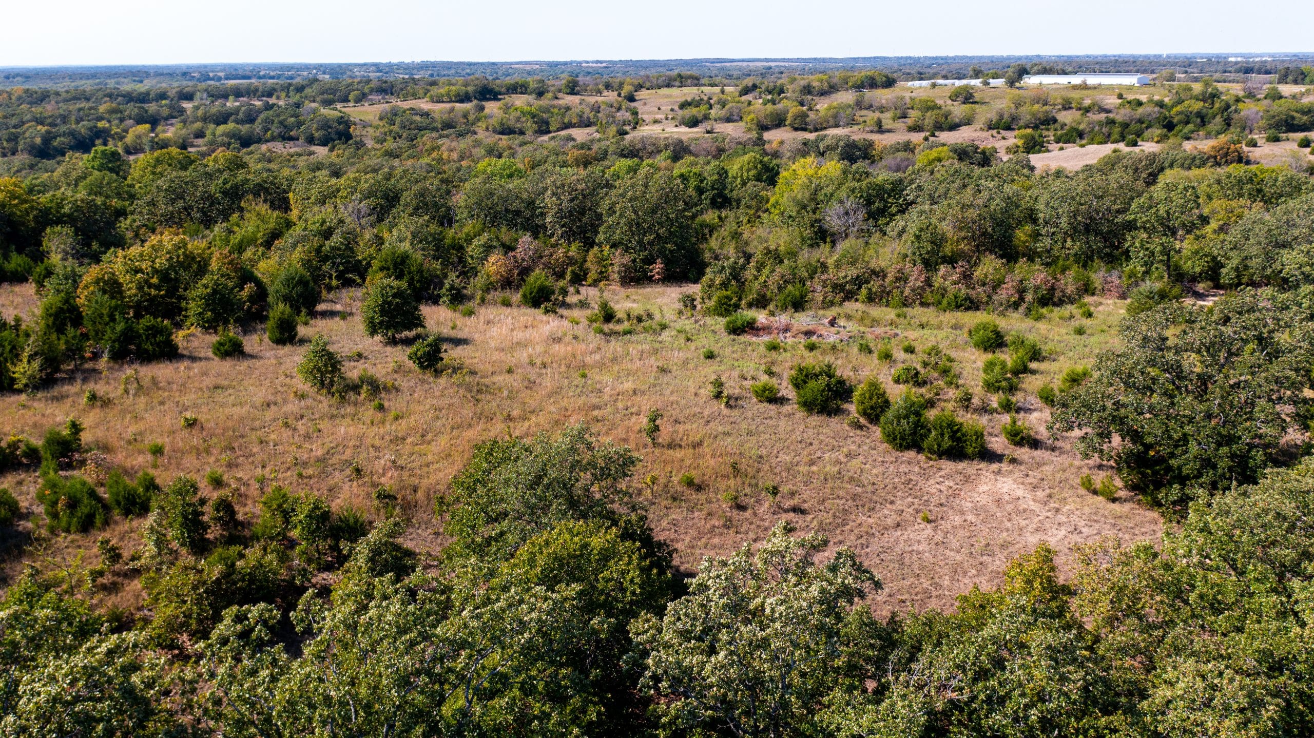 Canyon Creek photo 12