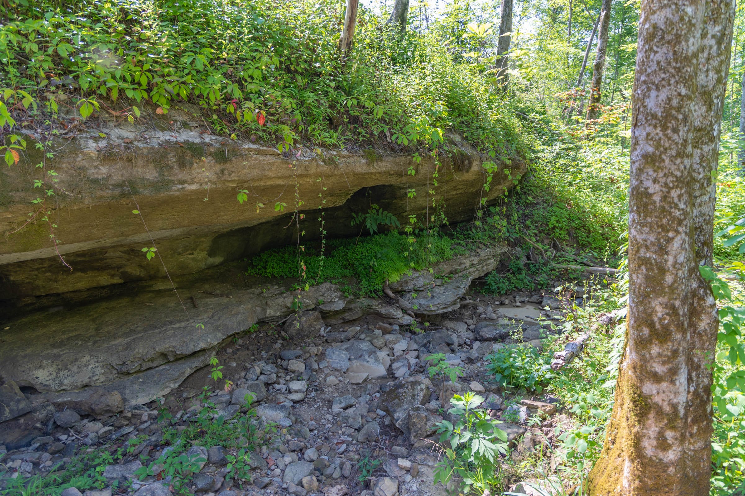 Creek Hollow photo 18