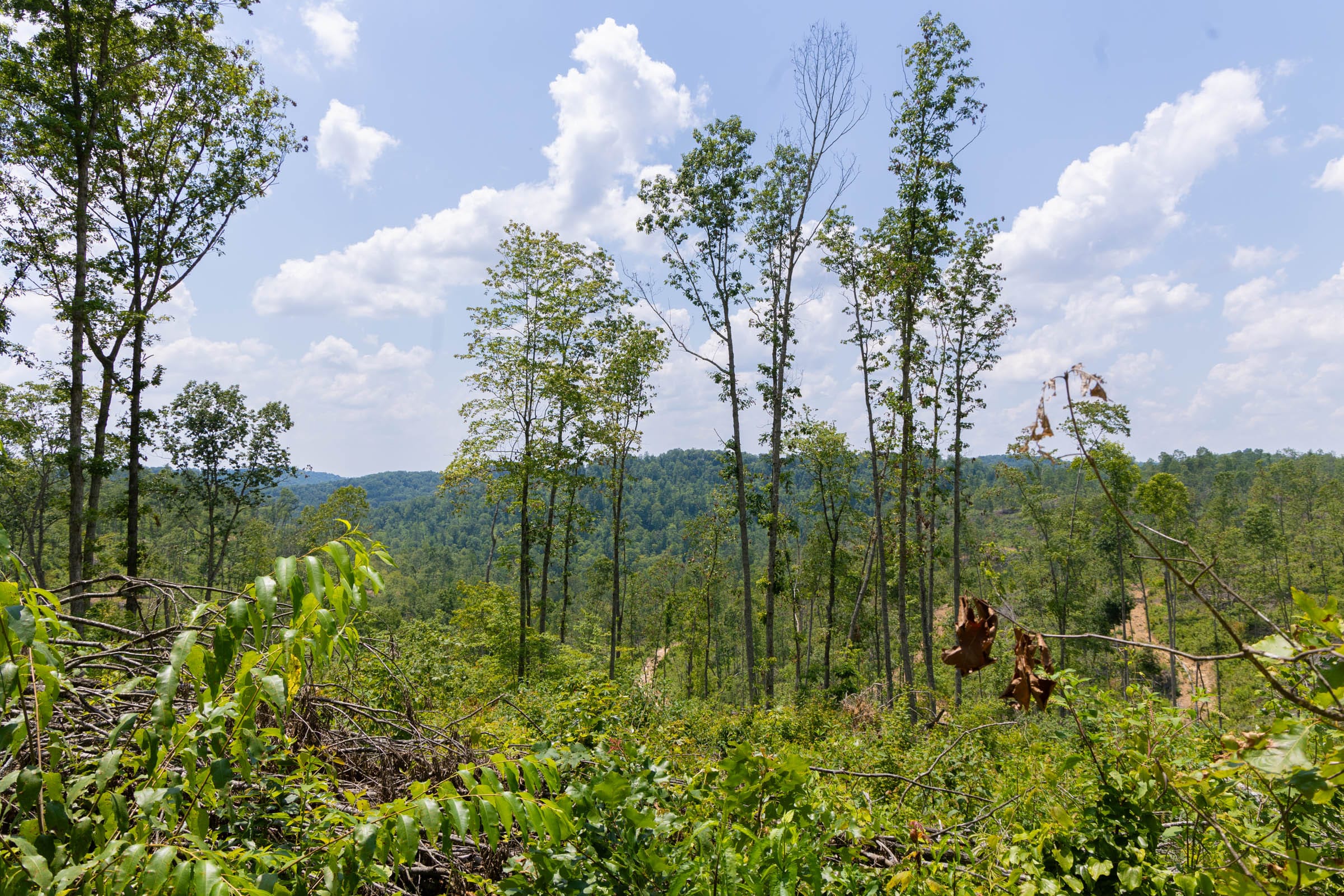 Creek Hollow photo 4