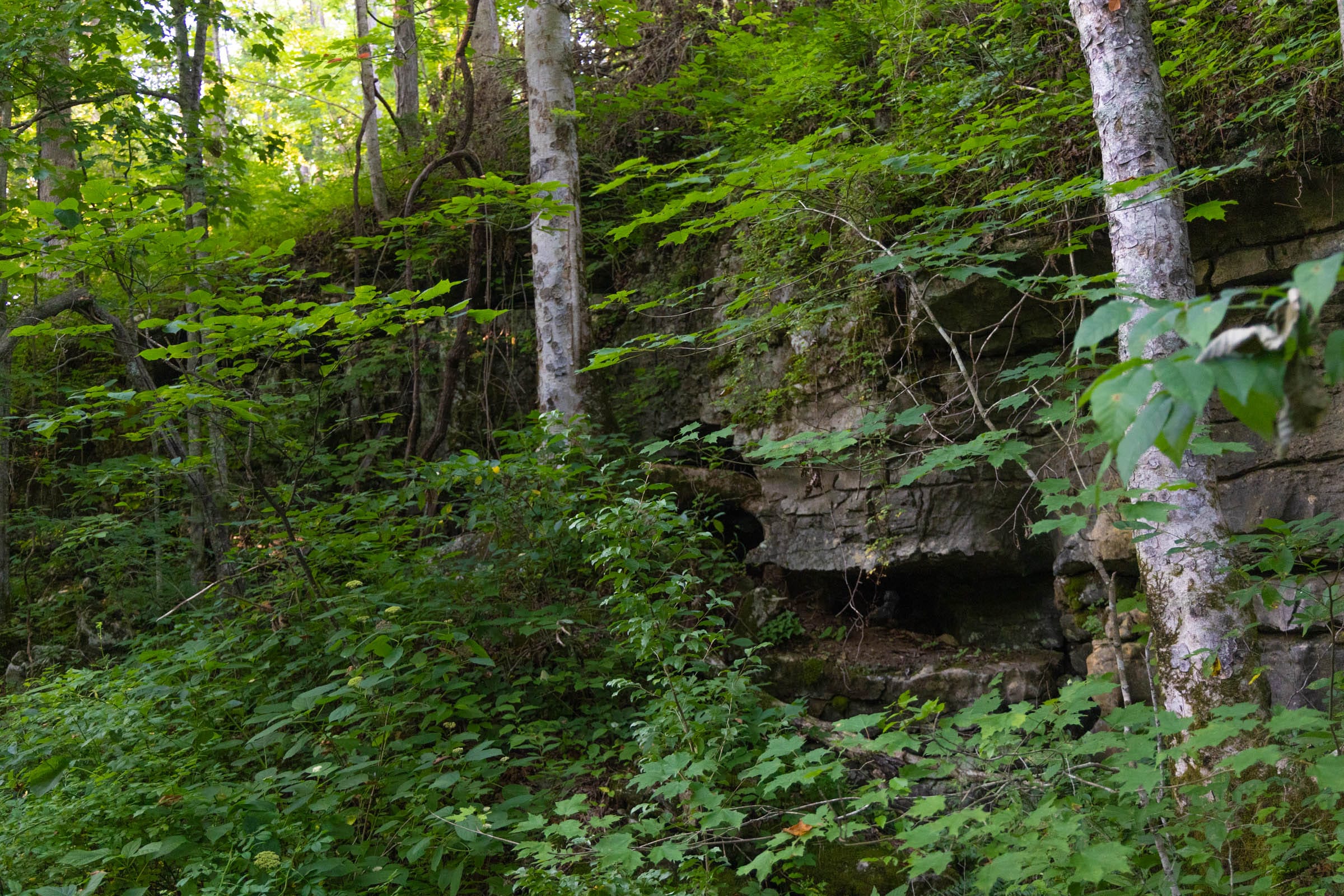 Creek Hollow photo 16