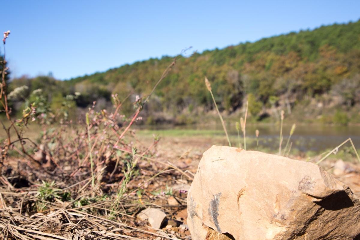 Stone Creek Phase I photo 3