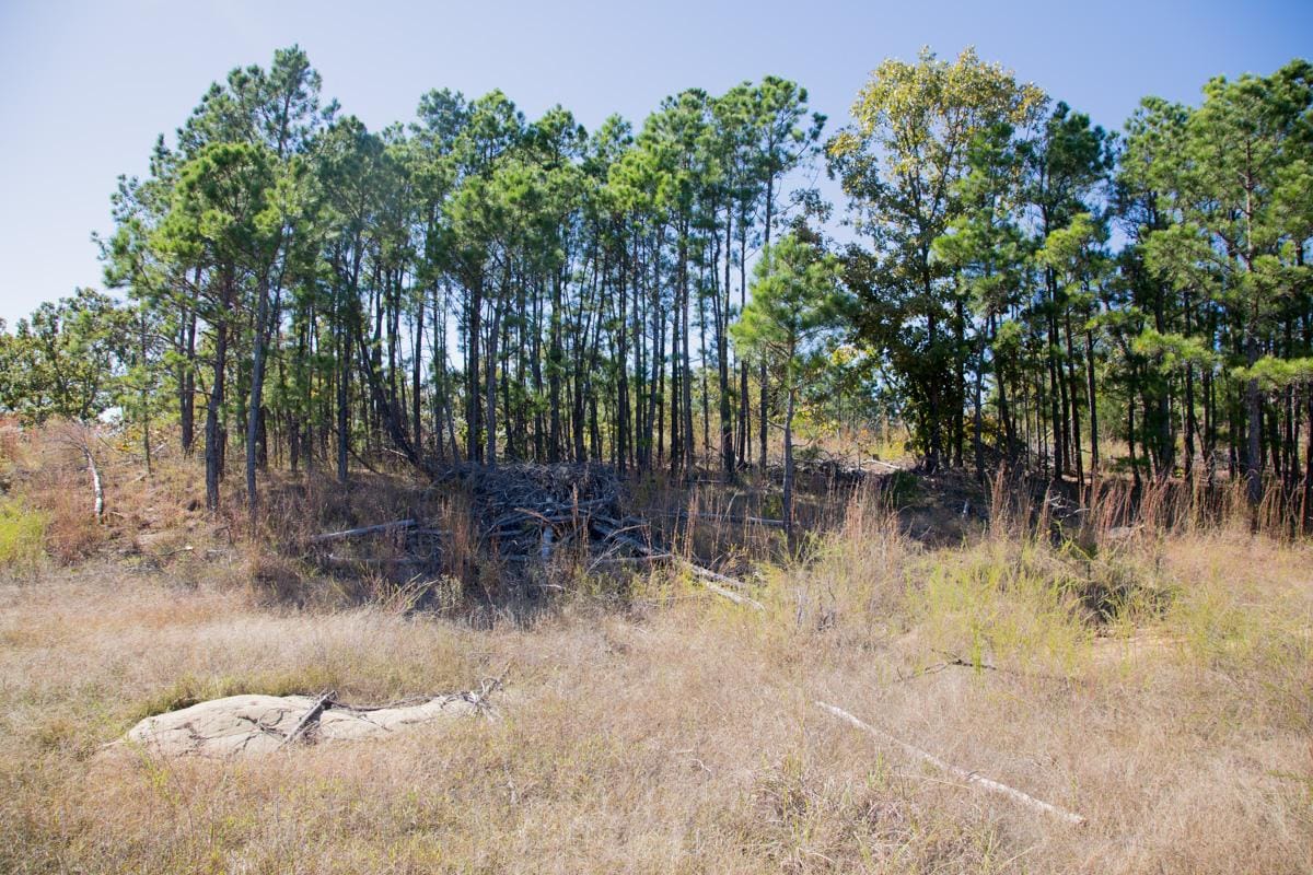 Stone Creek Phase I photo 16