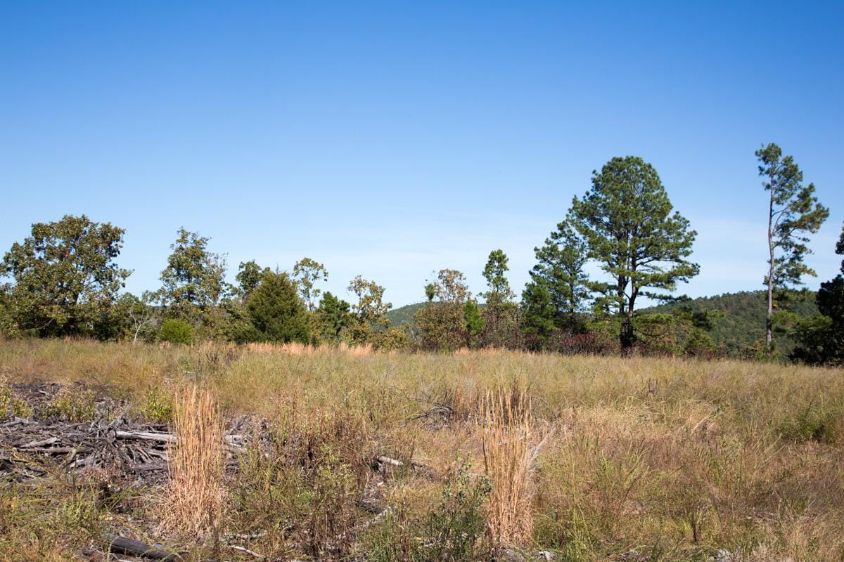 Stone Creek Phase I photo 18