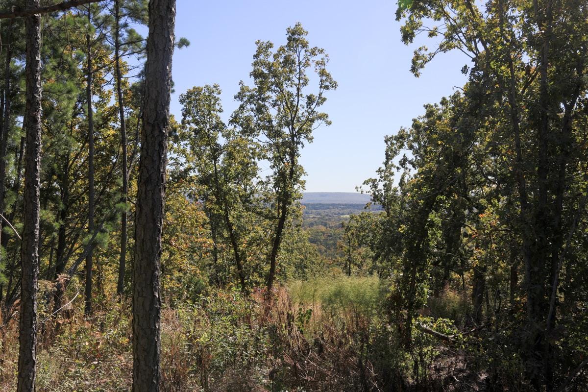 Stone Creek Phase I photo 19