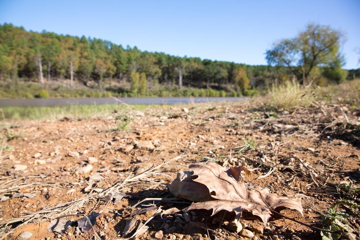 Stone Creek Phase I photo 5