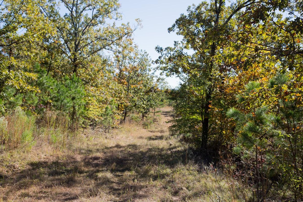 Stone Creek Phase I photo 23