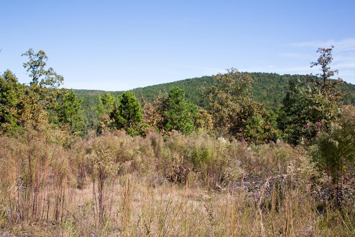 Stone Creek Phase I photo 13