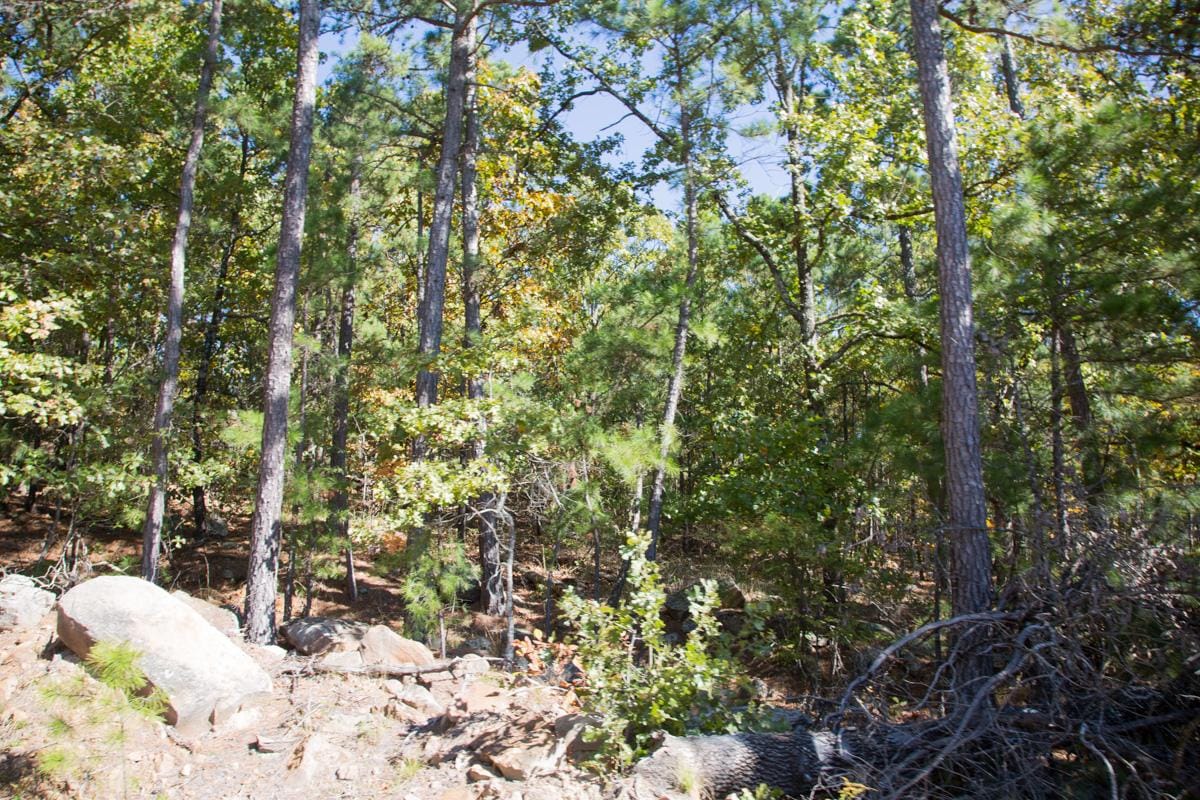 Stone Creek Phase I photo 21