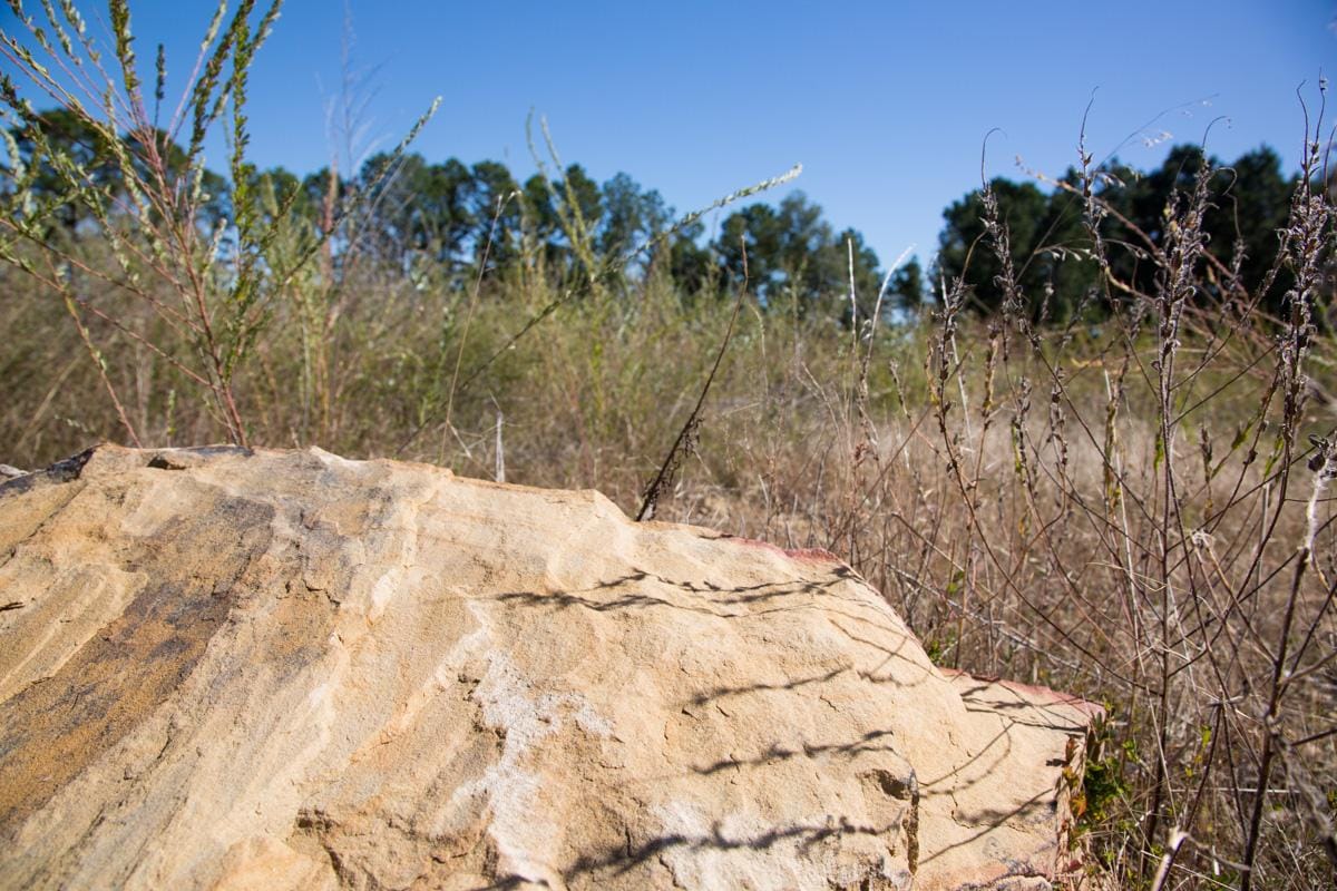 Stone Creek Phase I photo 17