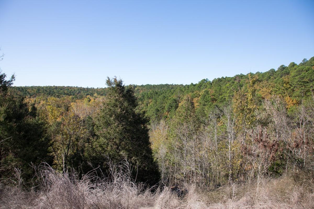 Stone Creek Phase I photo 10