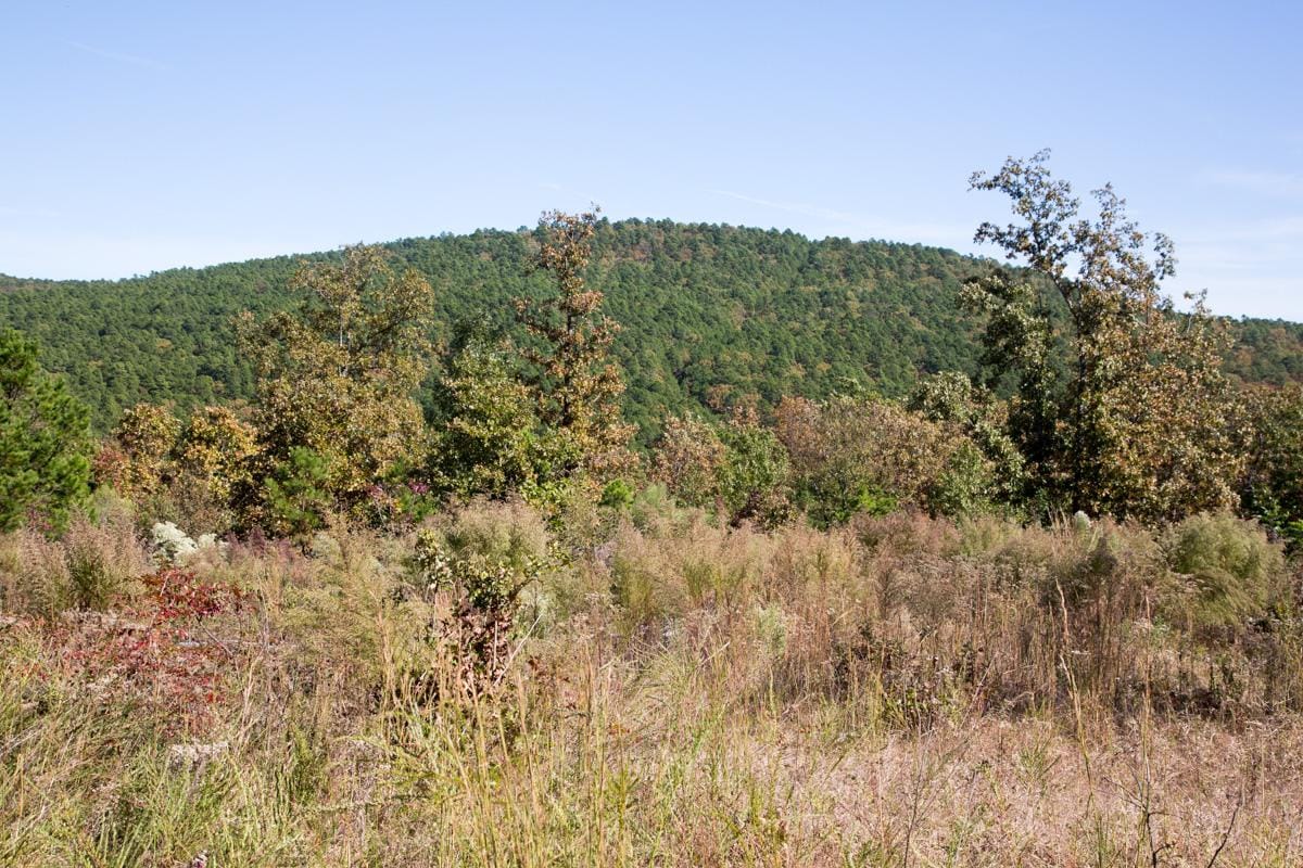 Stone Creek Phase I photo 15