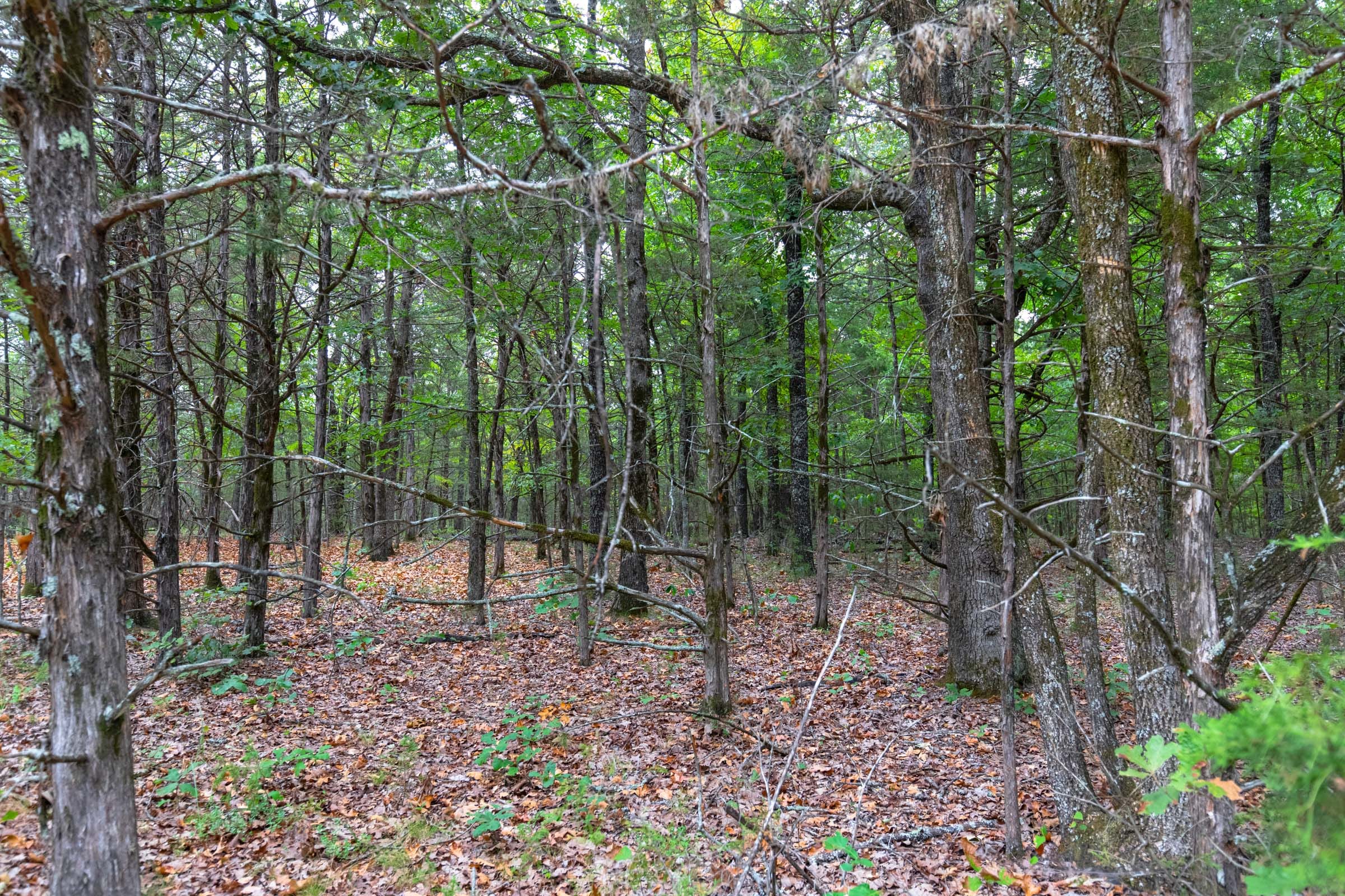 Heritage Bend photo 15