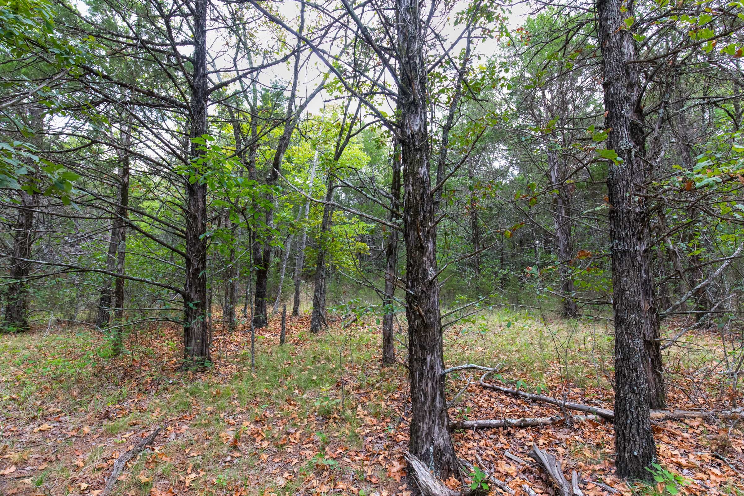 Heritage Bend photo 14
