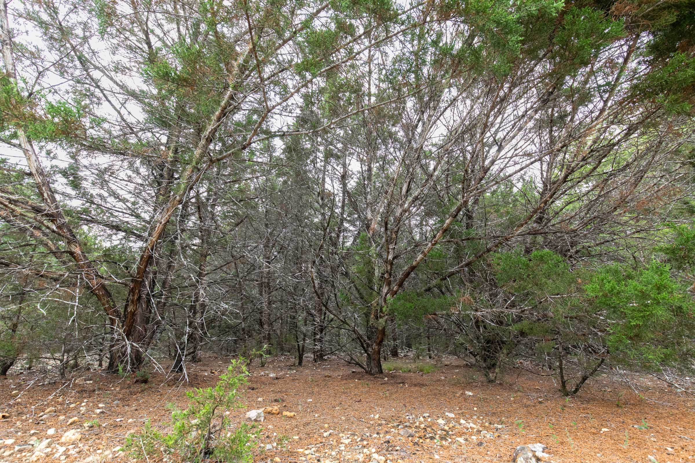 Heritage Bend photo 10