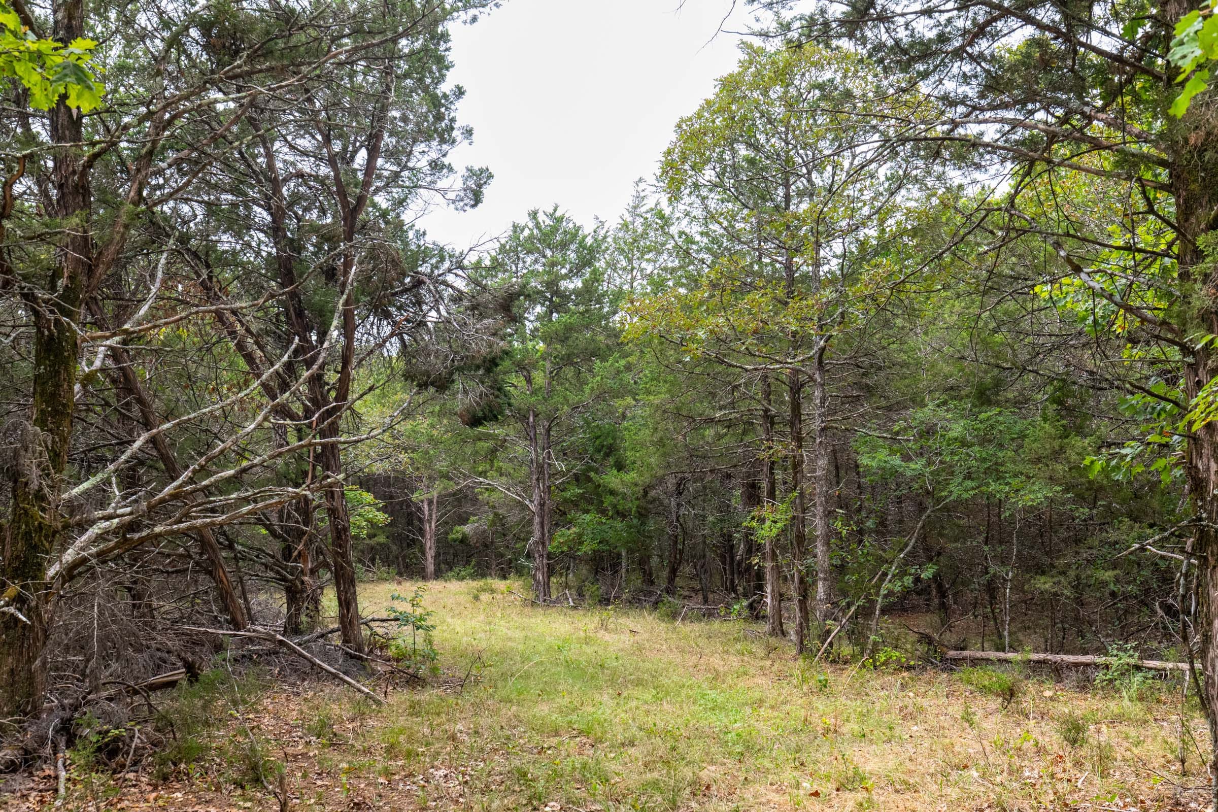 Heritage Bend photo 13