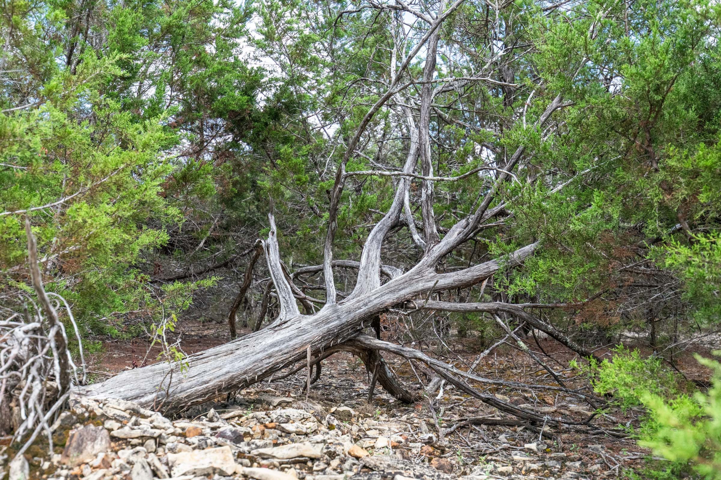 Heritage Bend photo 23