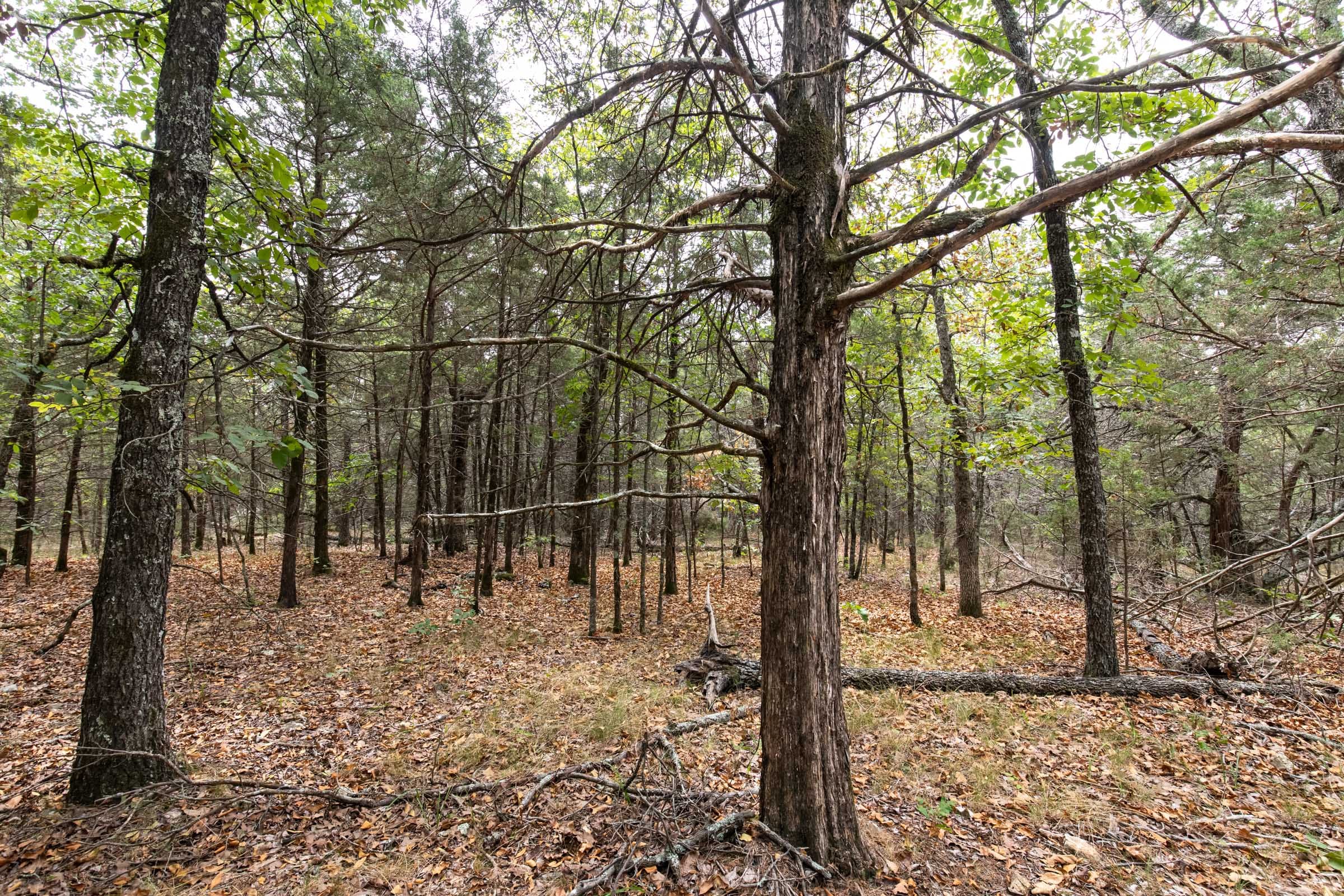 Heritage Bend photo 12