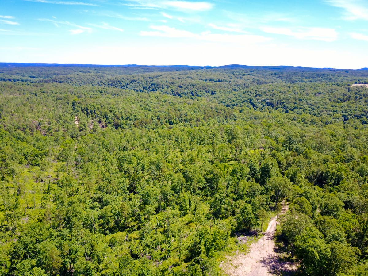 Timber Crossing photo 2