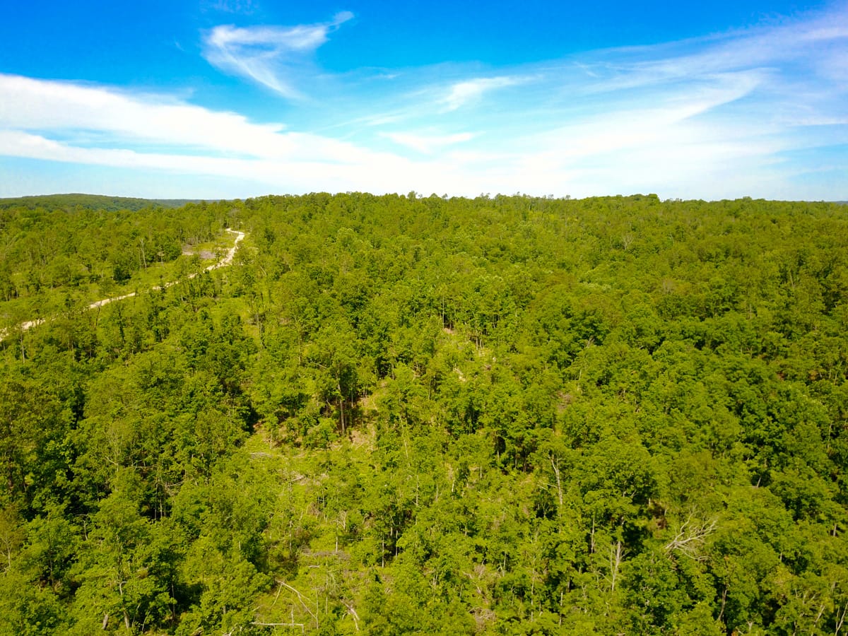 Timber Crossing photo 3