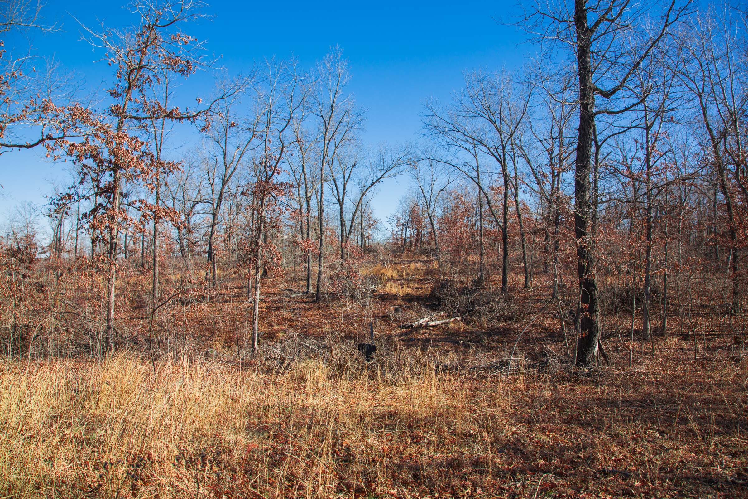 Buffalo Hills photo 7