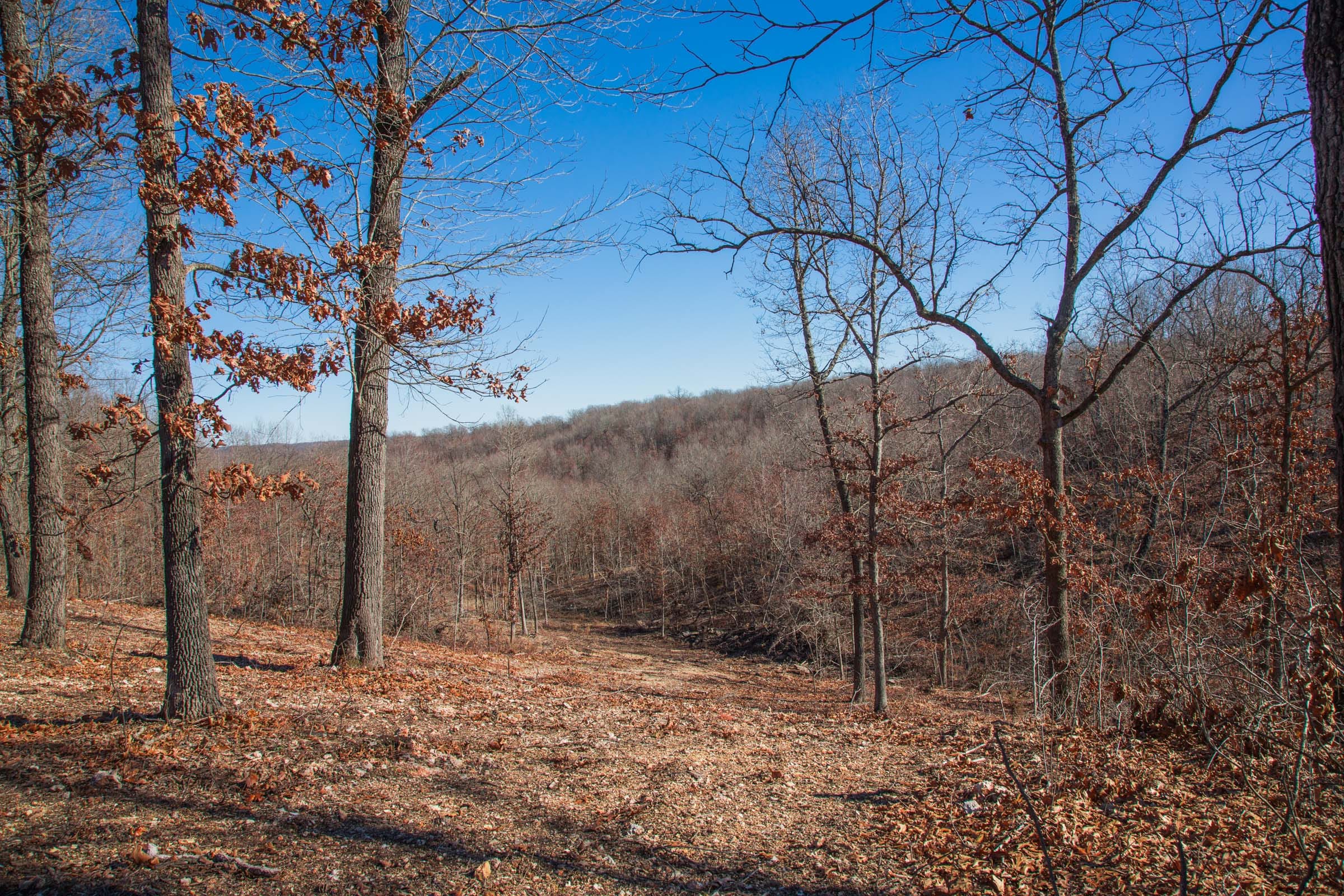 Buffalo Hills photo 10