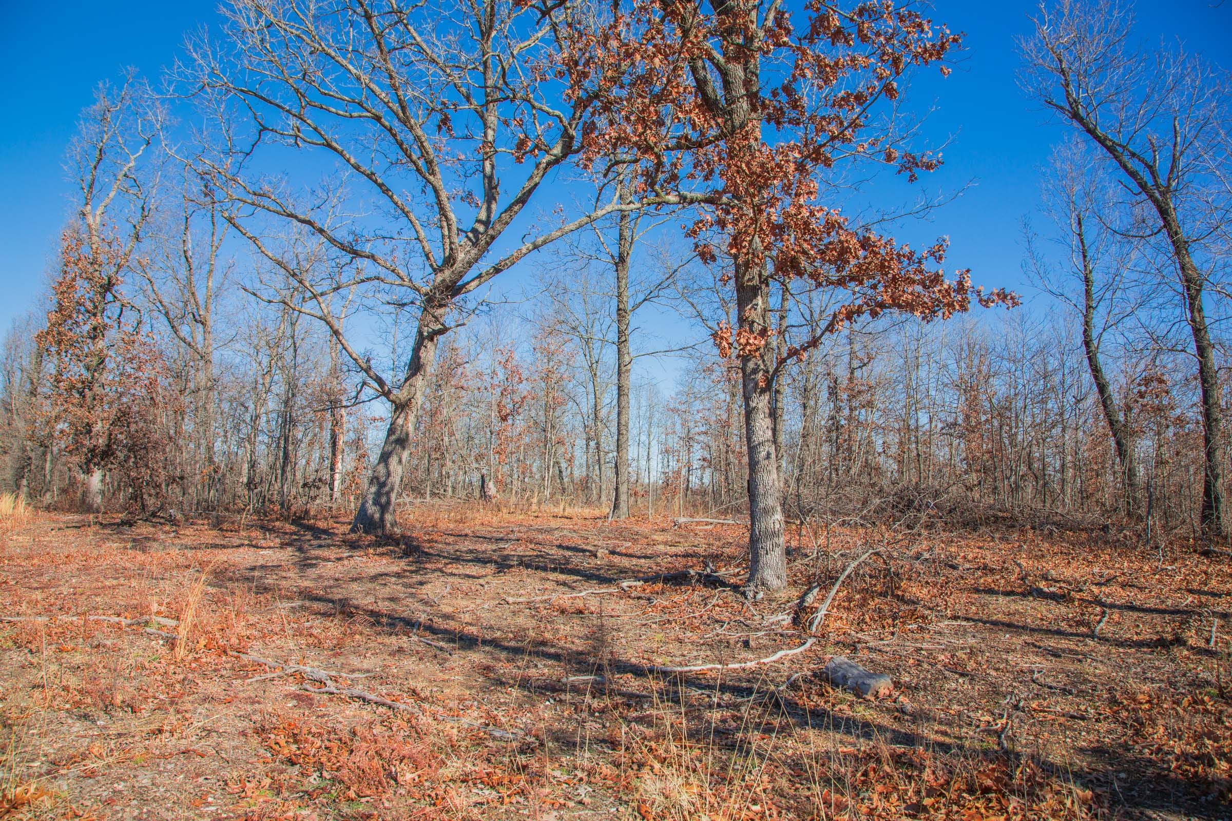 Buffalo Hills photo 11
