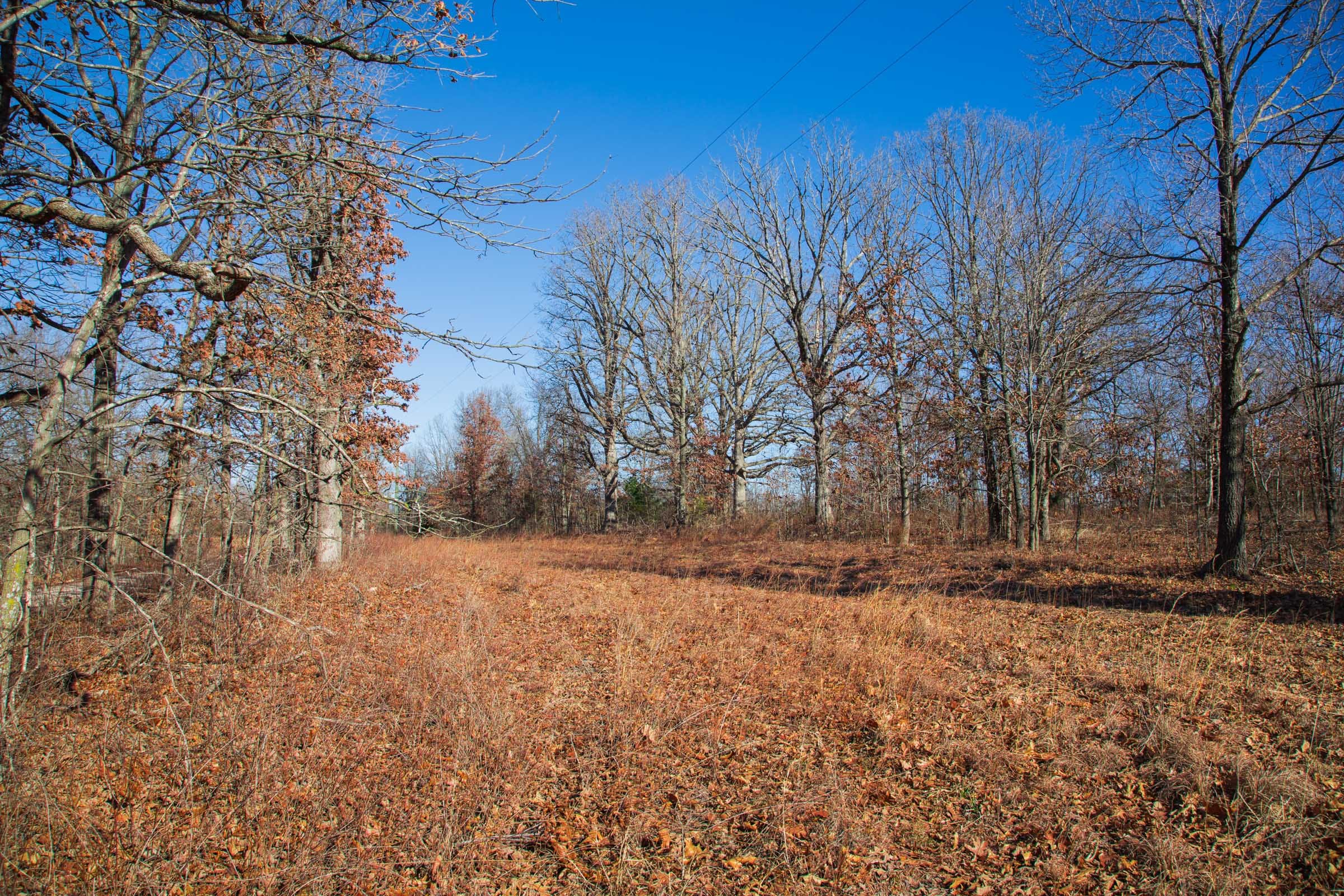 Buffalo Hills photo 4