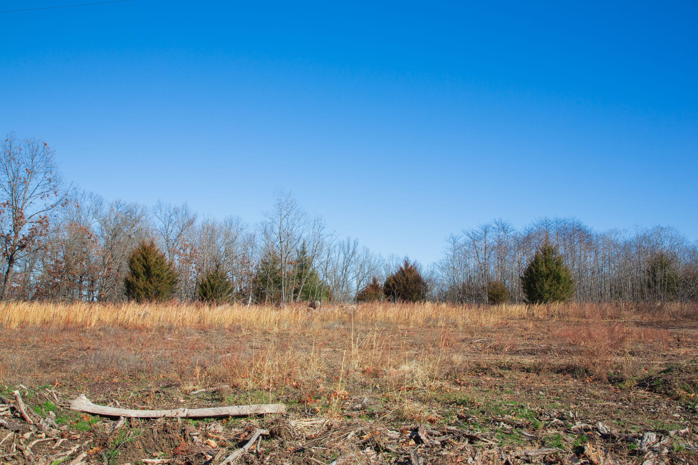 Buffalo Hills photo 6