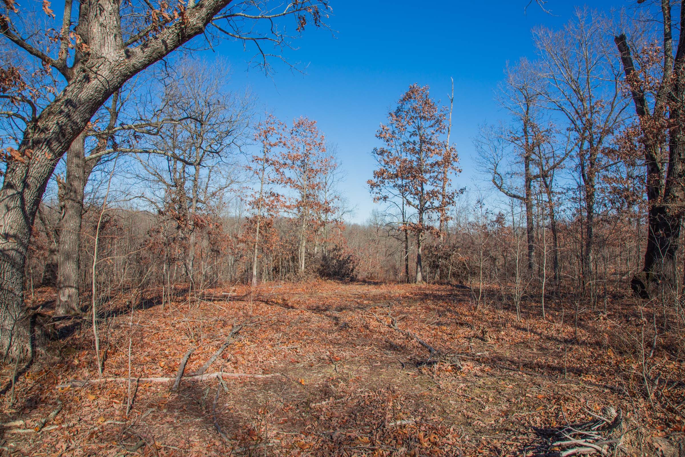Buffalo Hills photo 12