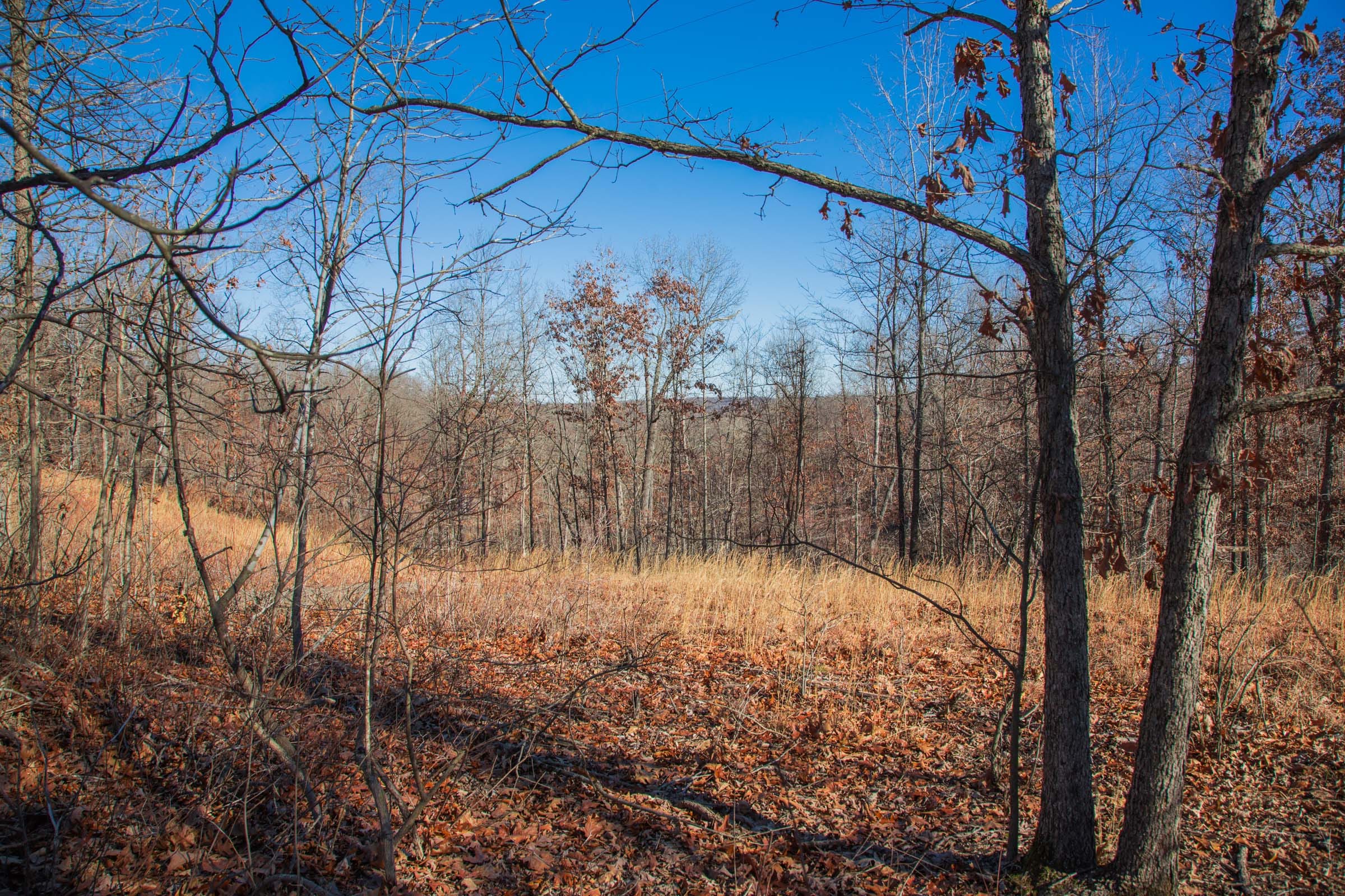 Buffalo Hills photo 9