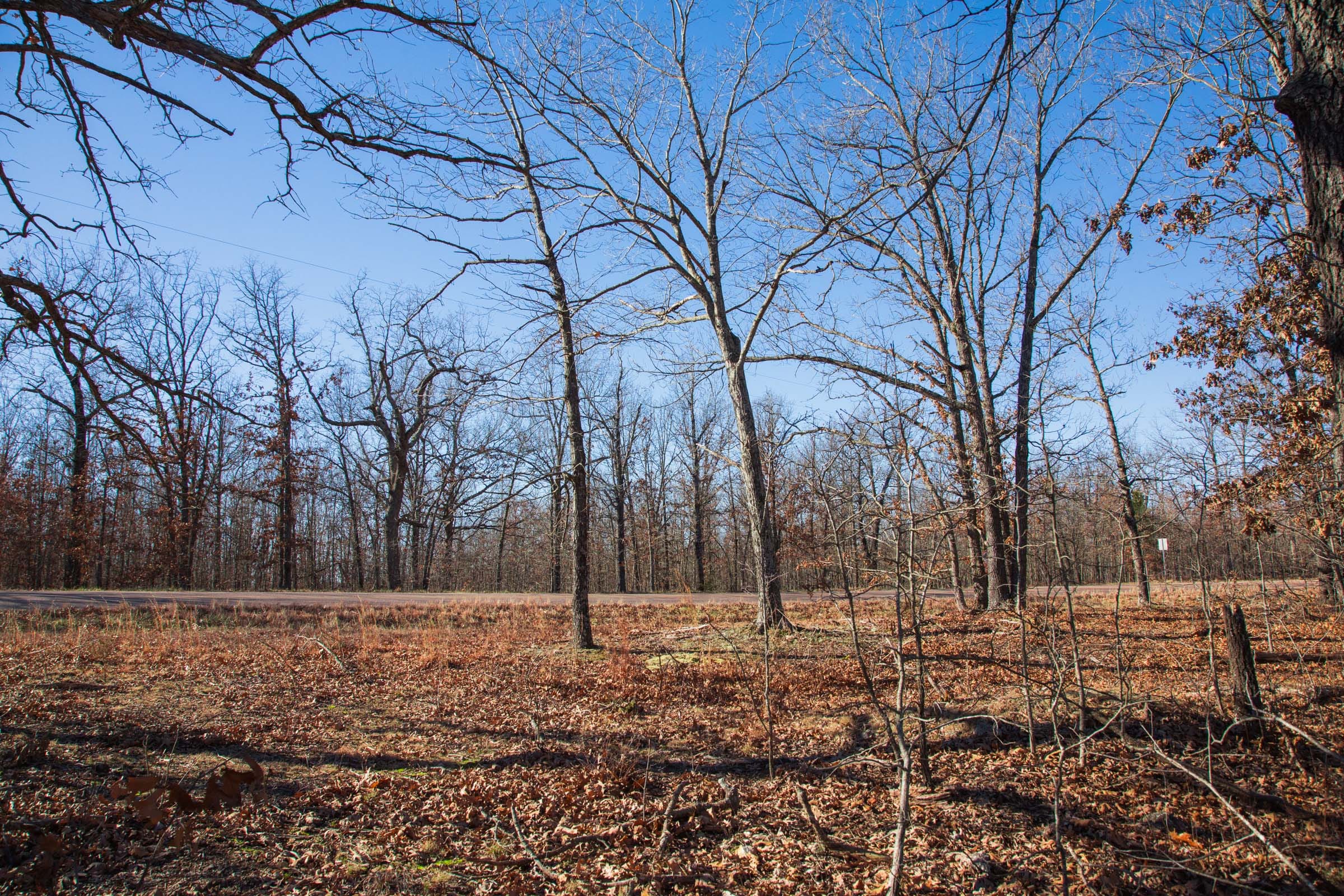 Buffalo Hills photo 2