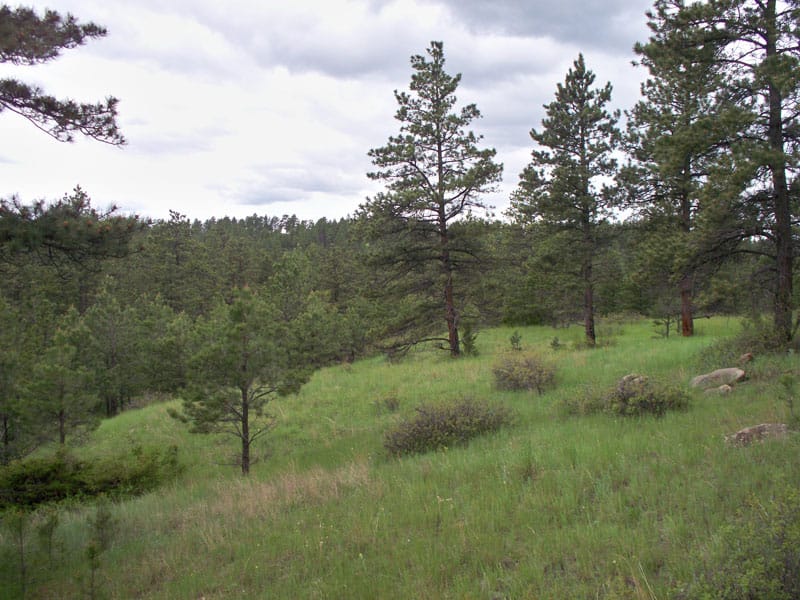 Musselshell County photo 4