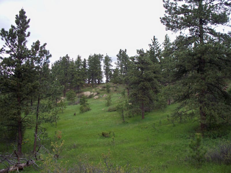 Musselshell County photo 8